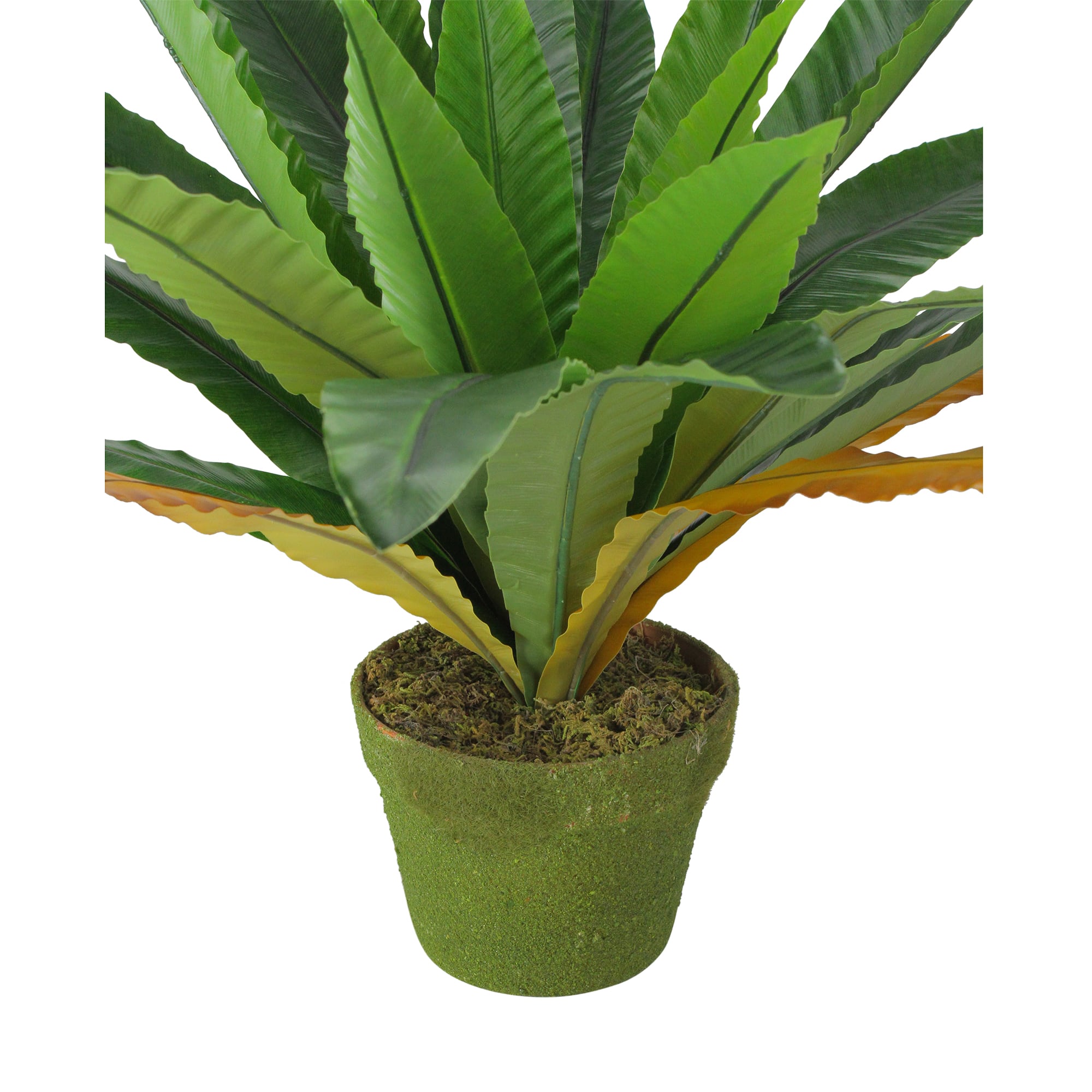 22" Potted Artificial Green & Brown Bird Nest Fern