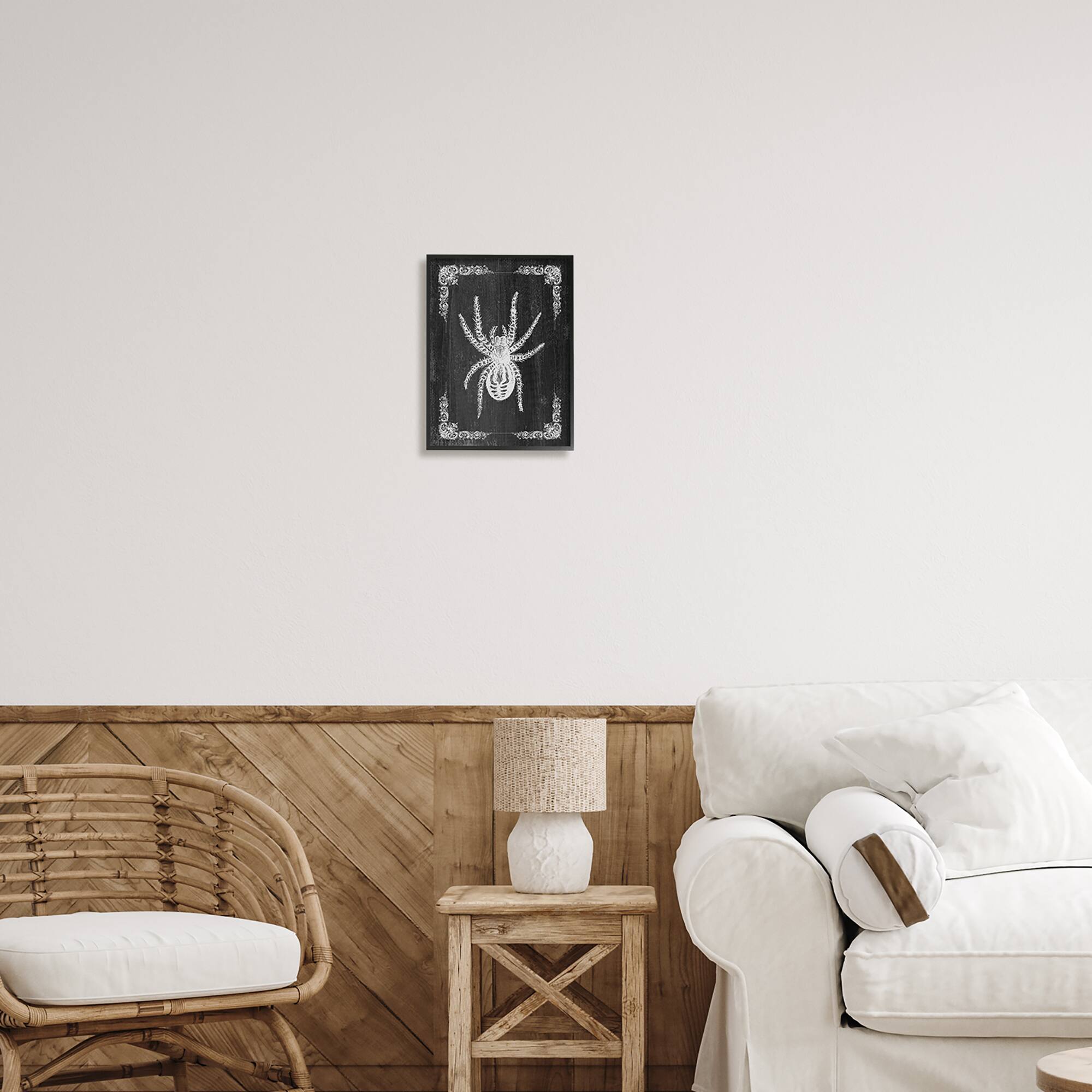 Stupell Industries Black & White Spider Framed Giclee Art