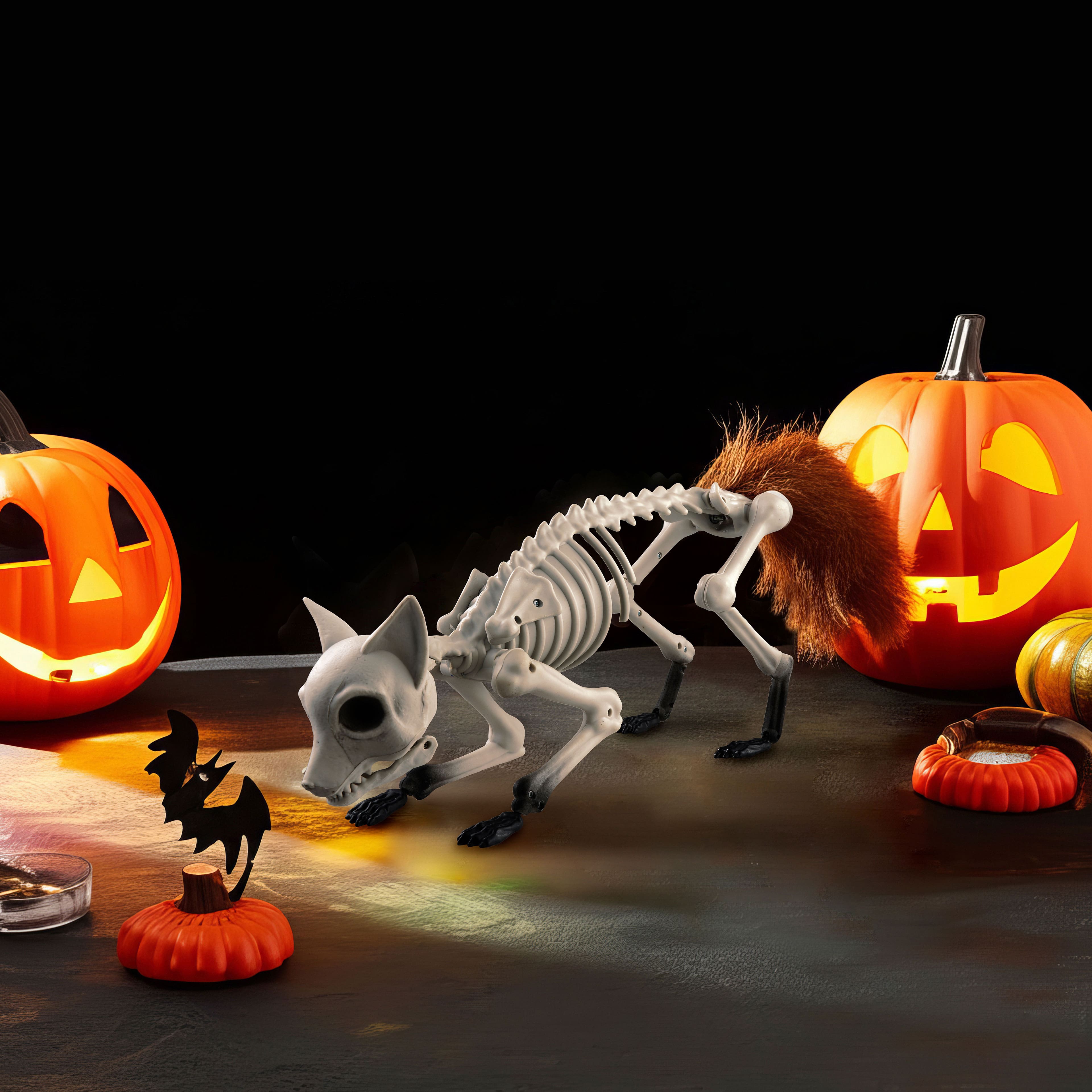17.75&#x22; Fox Skeleton D&#xE9;cor by Ashland&#xAE;