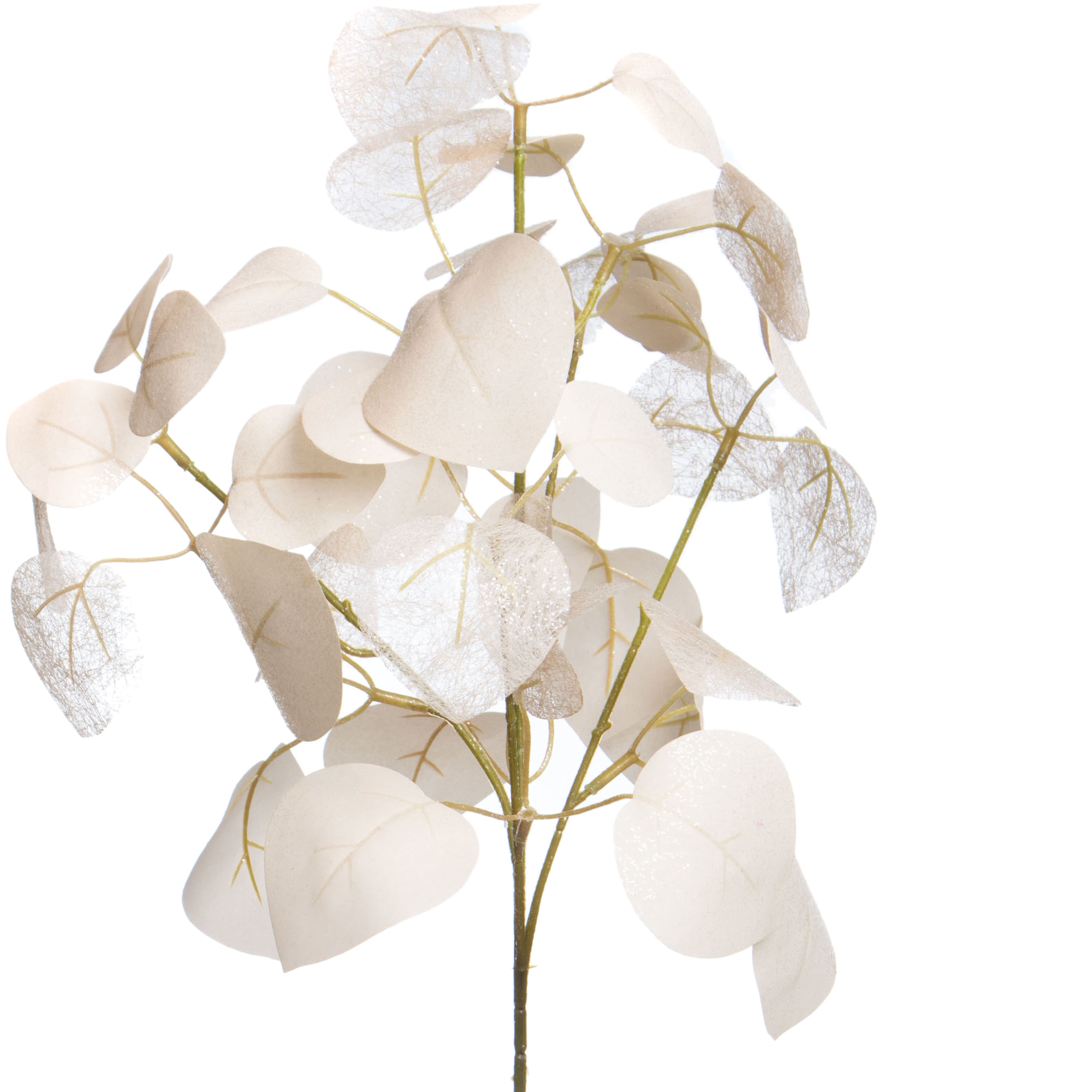 27.5&#x22; Cream Eucalyptus Stem by Ashland&#xAE;