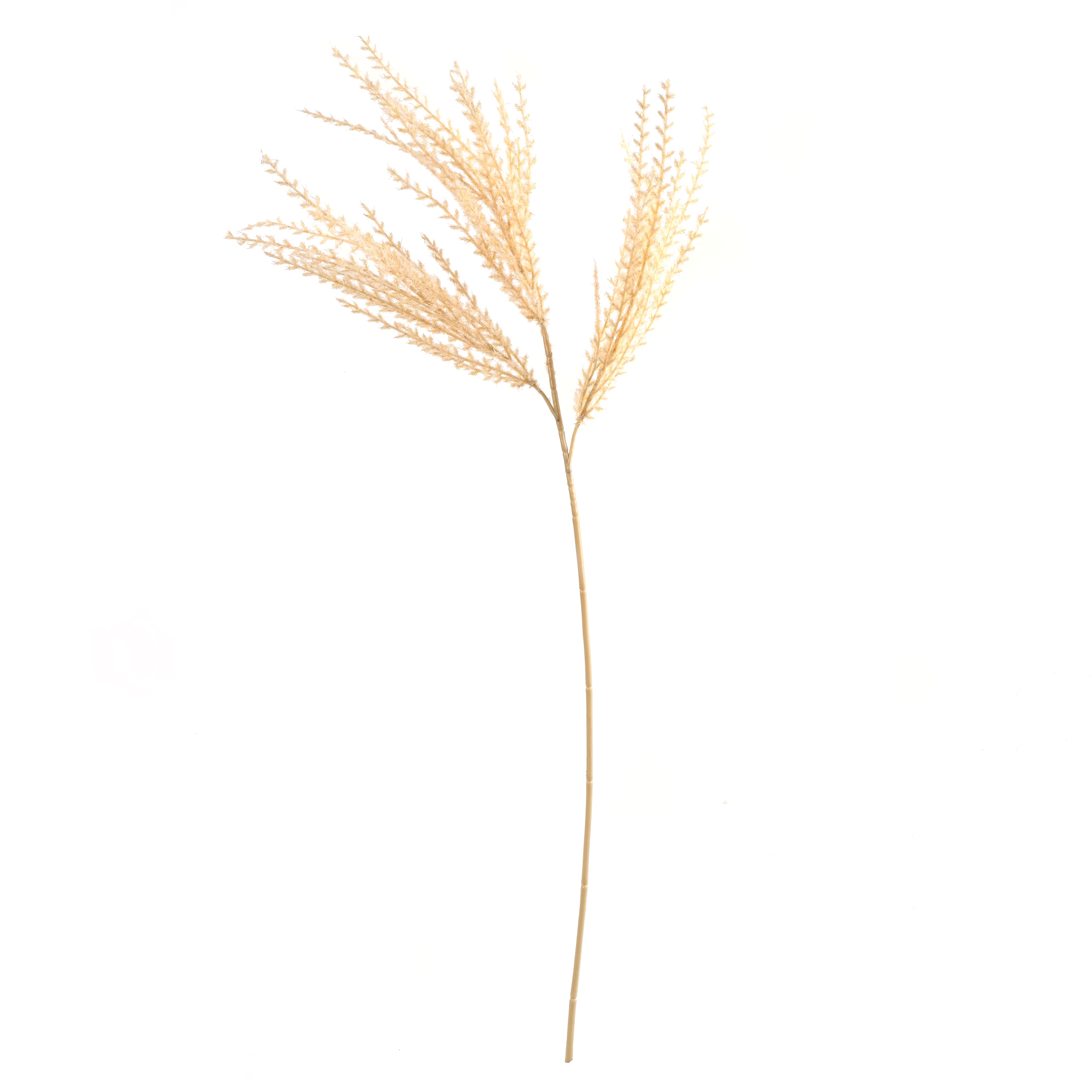 31&#x22; Cream Mini Pampas Stem by Ashland&#xAE;