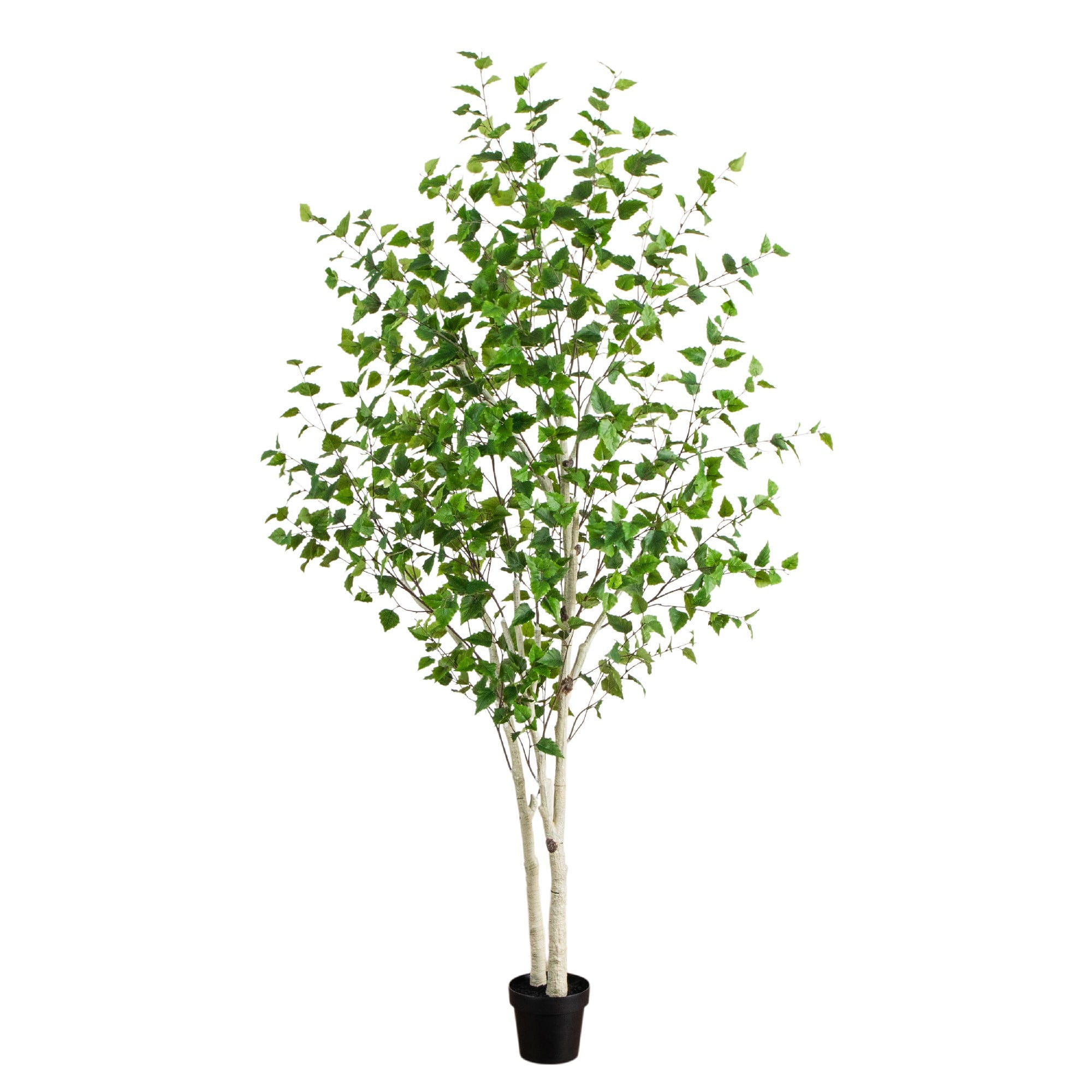 8ft. Artificial Birch Tree with Real Touch Leaves