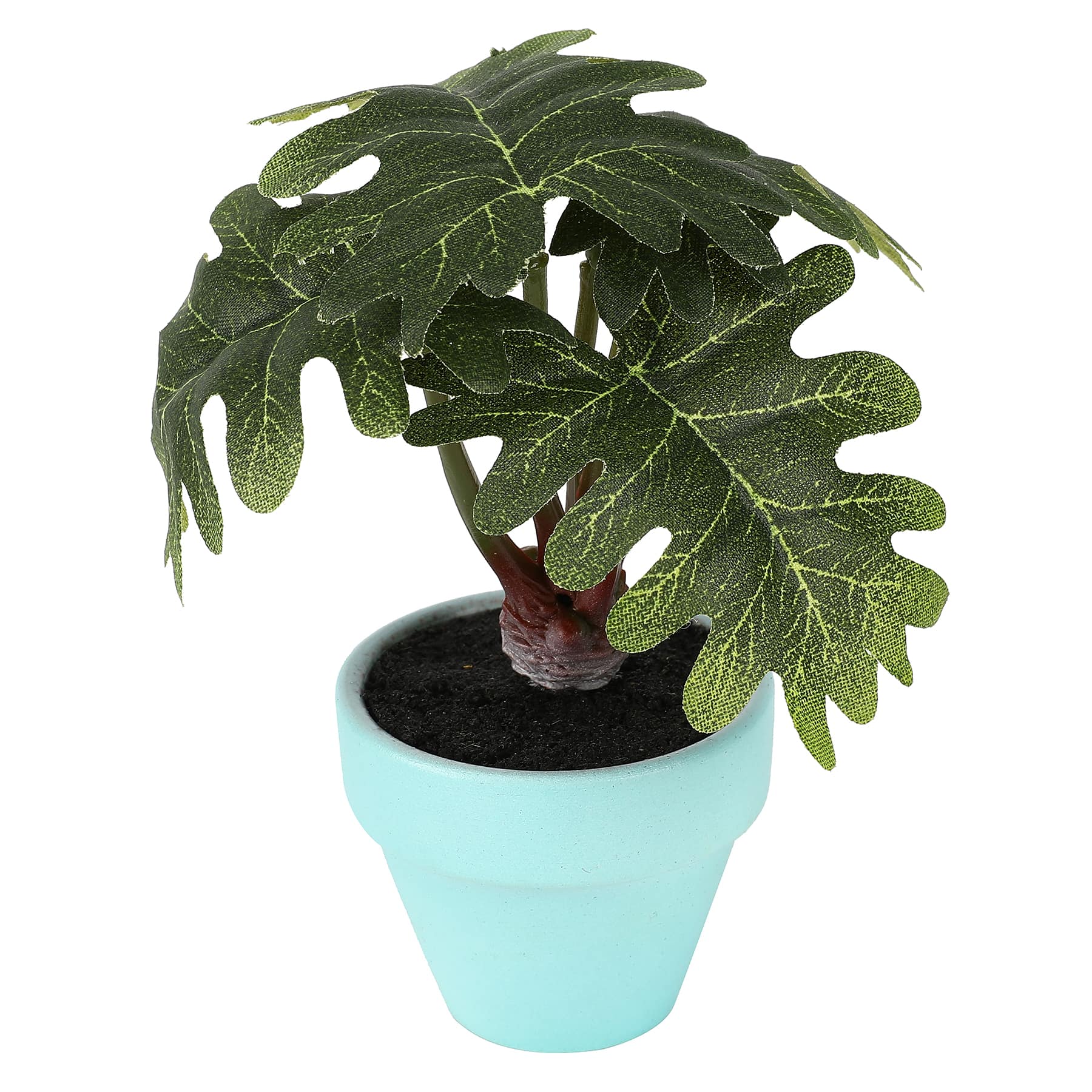 4&#x22; Philodendron Plant in Blue Pot by Ashland&#xAE;