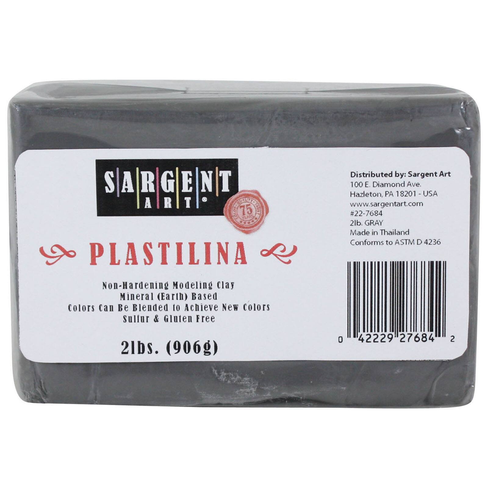 Sargent Art Plastilina Modeling Clay White 2 Pound Non-Hardening Long  Lasting & Non-Toxic Great for Kids Beginners and Artists