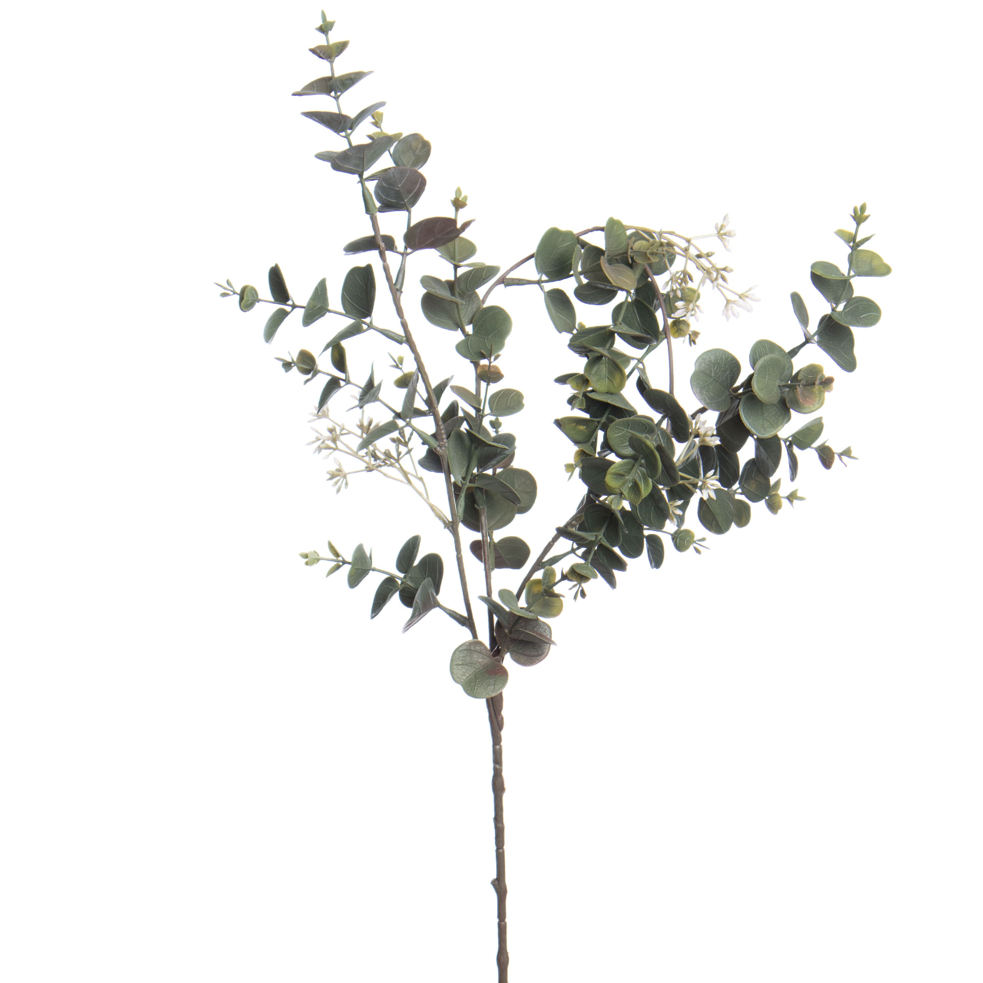 37&#x22; Seeded Eucalyptus Stem by Ashland&#xAE;