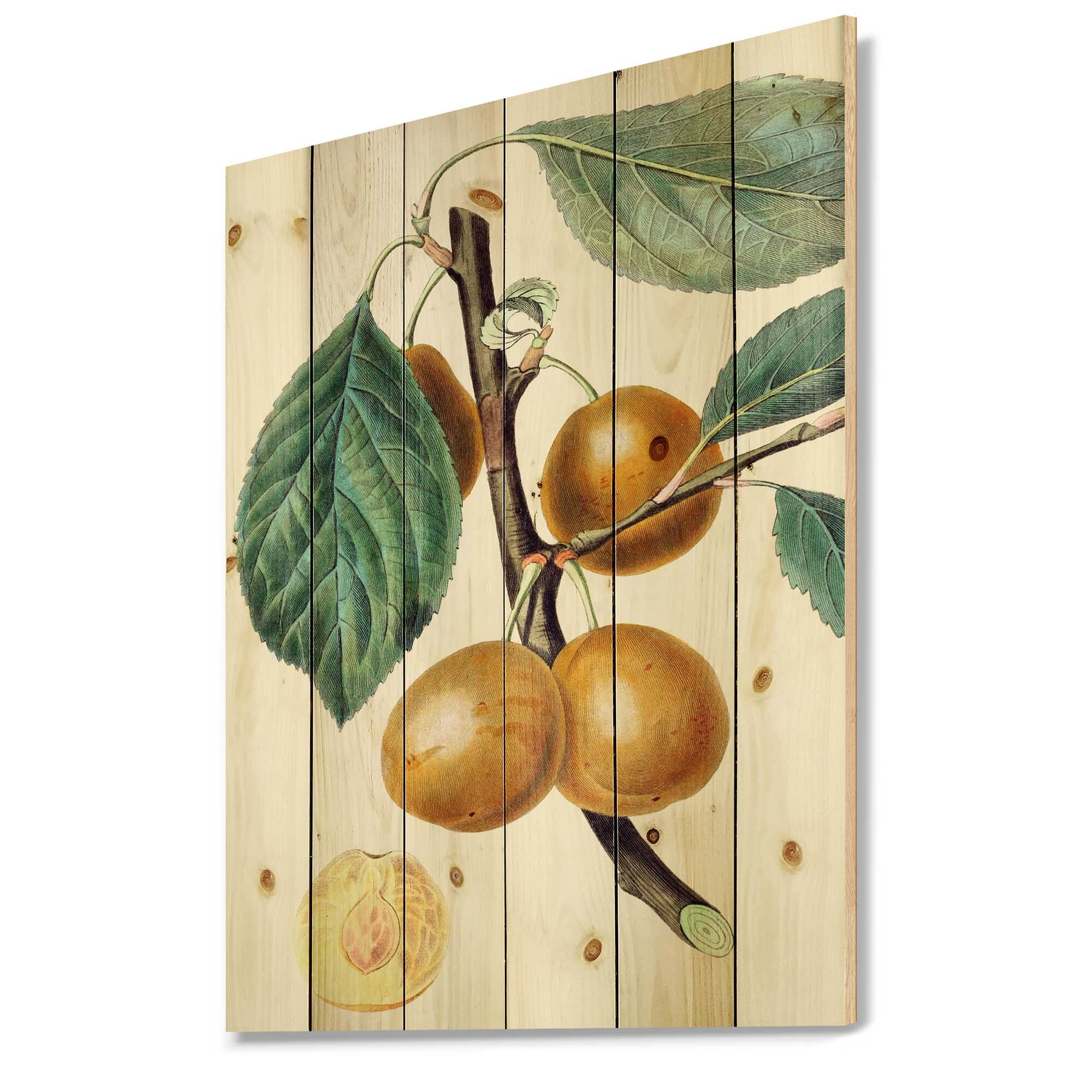 Designart - Vintage Fruits II - Farmhouse Print on Natural Pine Wood