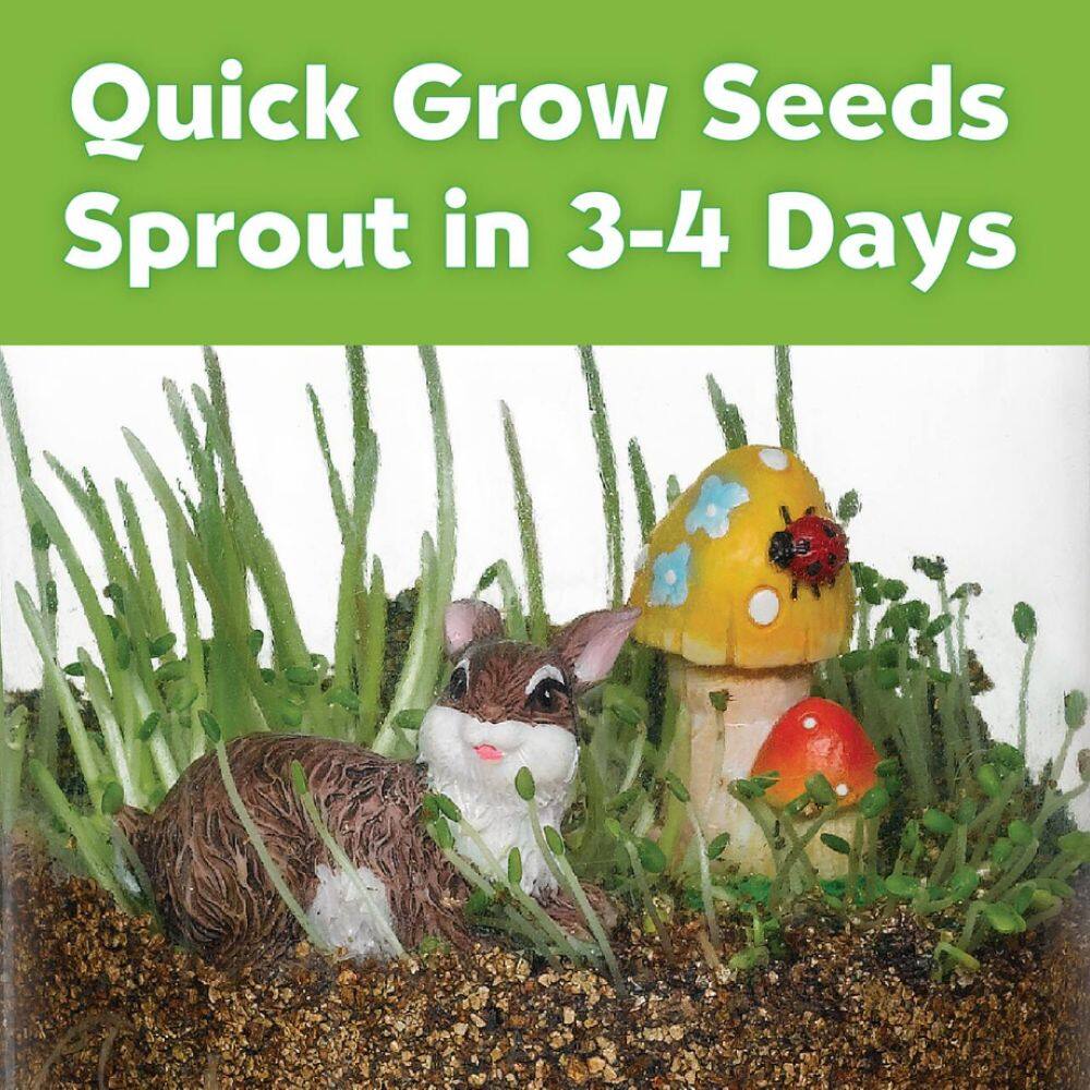 12 Pack: Creativity for Kids&#xAE; Grow N&#x27; Glow Terrarium