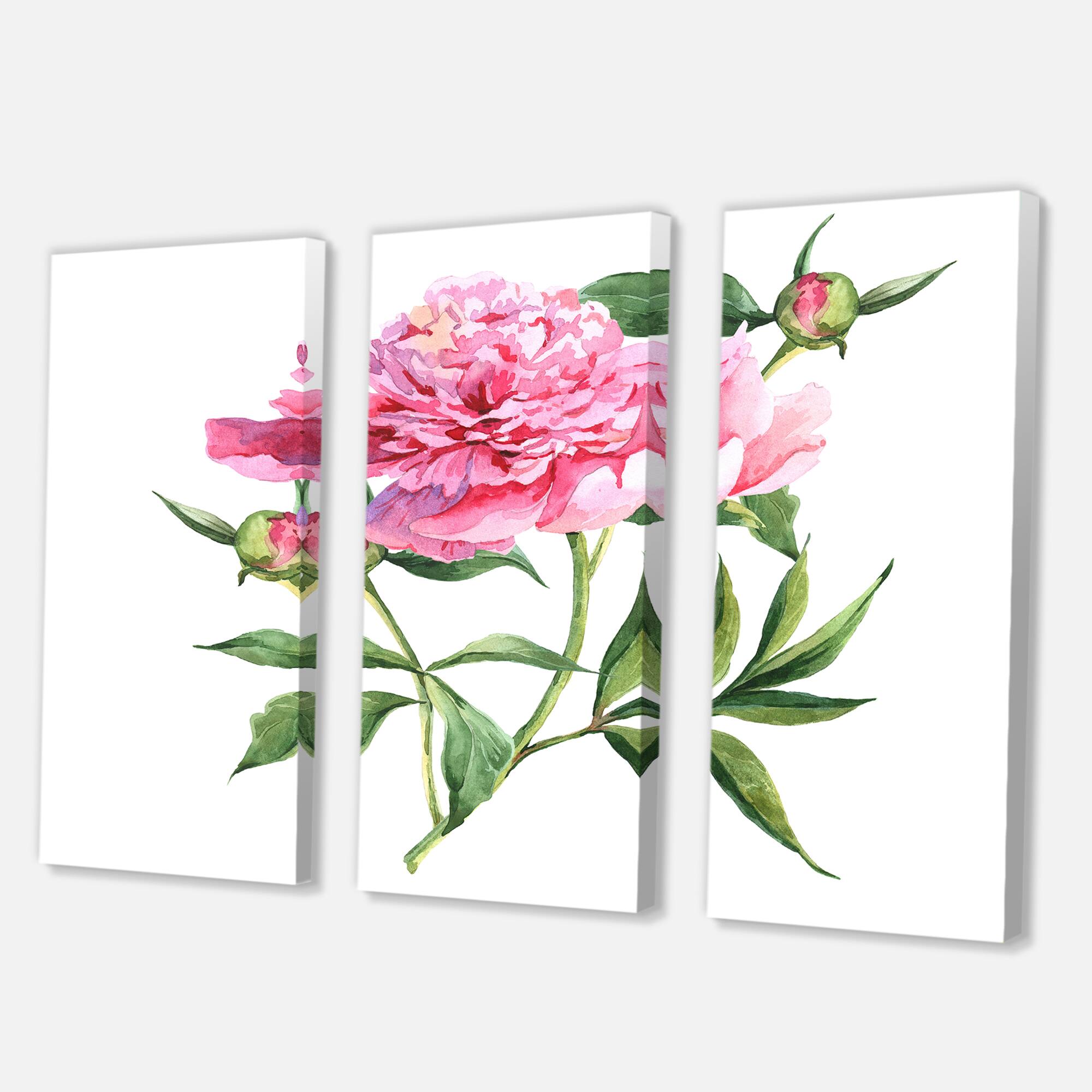 Designart - Vintage Pink Peonies - Traditional Canvas Wall Art Print