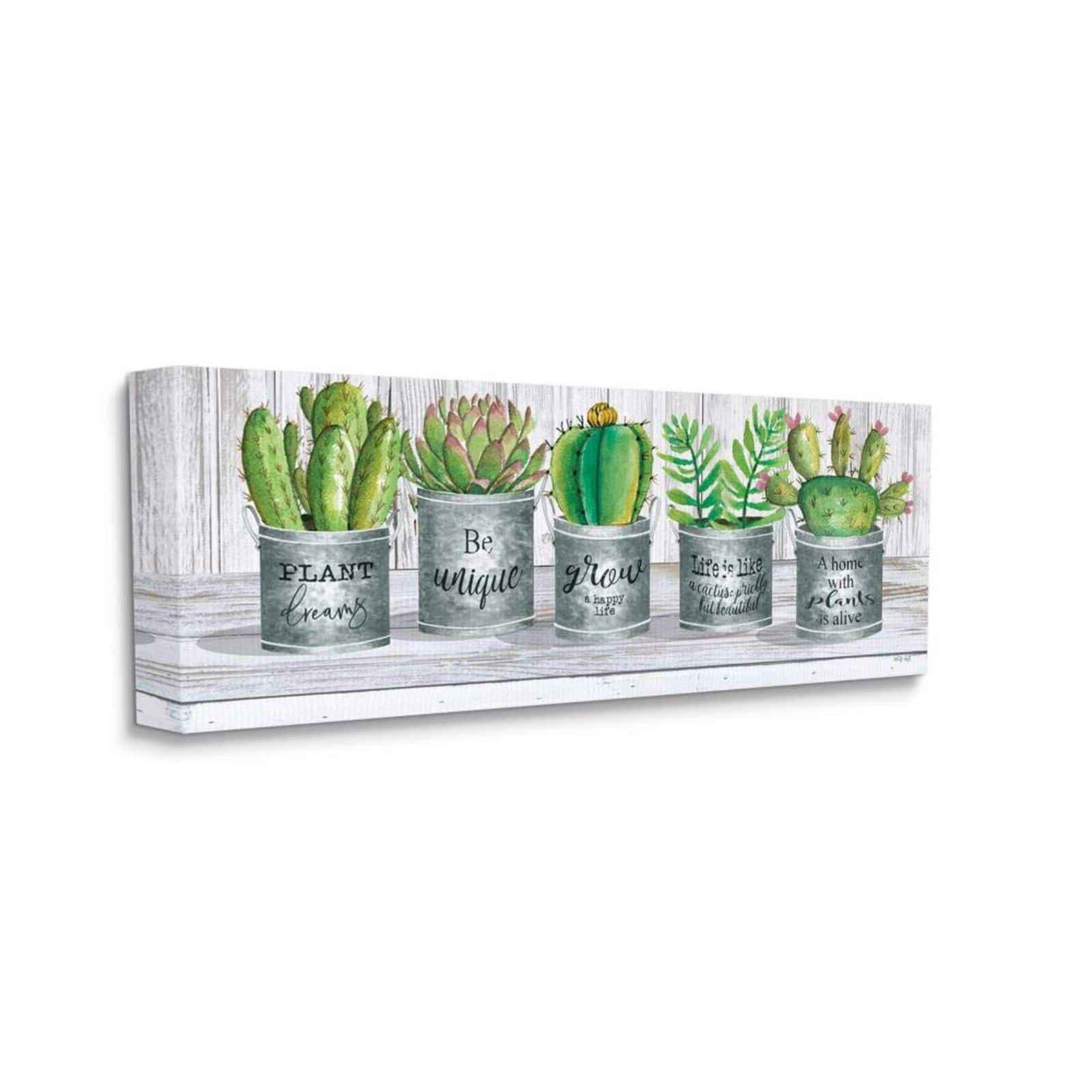 Stupell Industries Succulent & Cactus Jars with Plant Wall Art