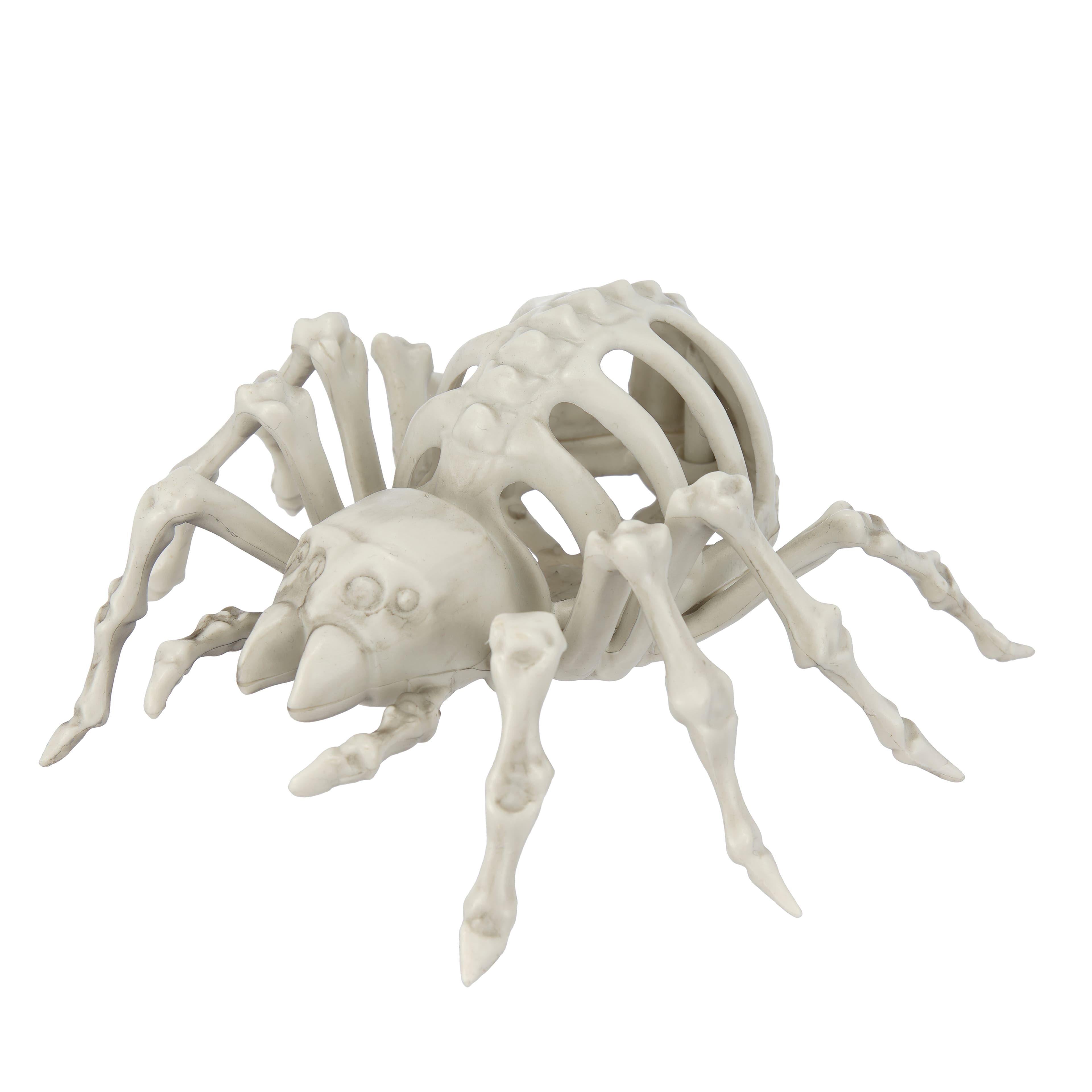 5.5&#x22; Spider Skeleton by Ashland&#xAE;