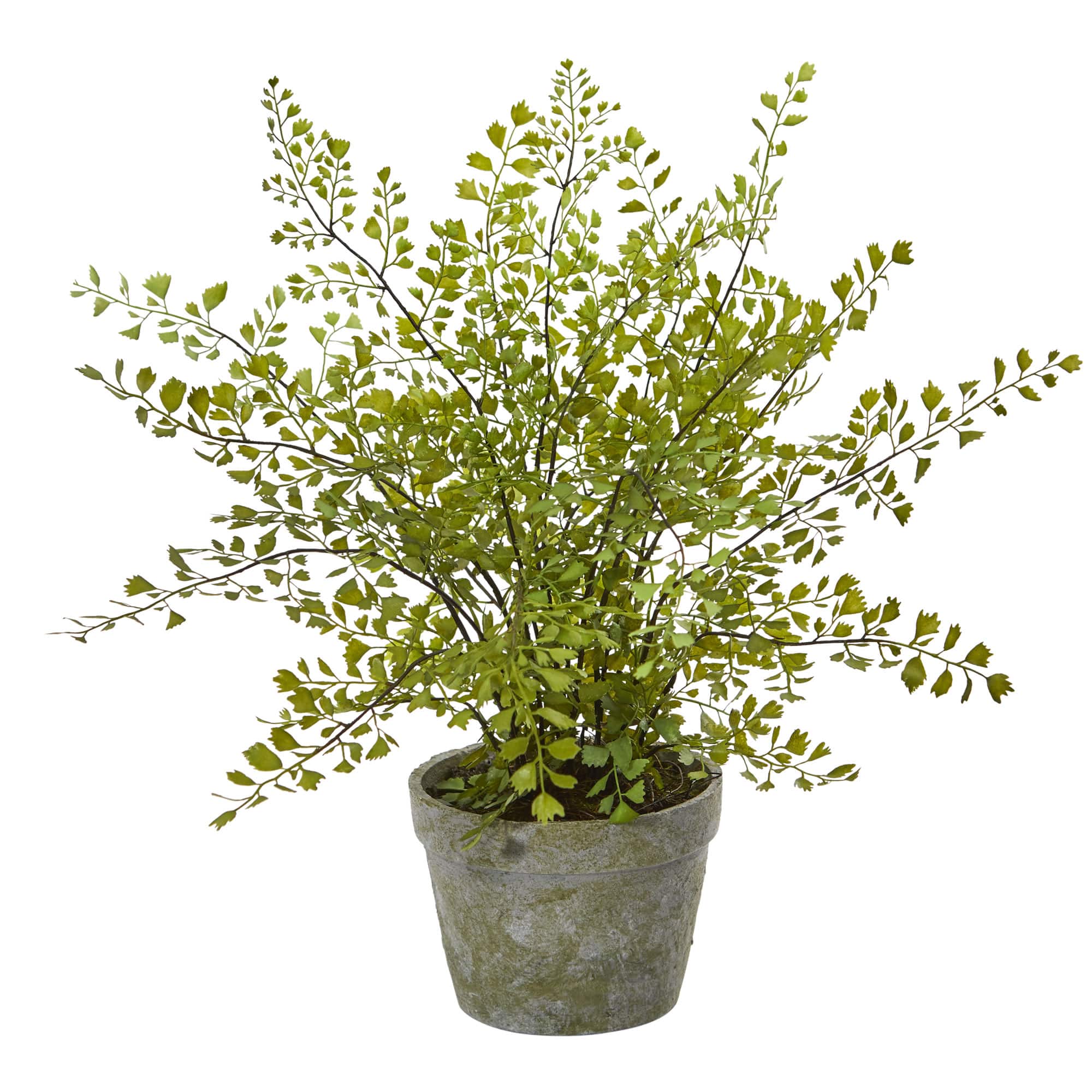 13" Maiden Hair Artificial Plant in Decorative Planter