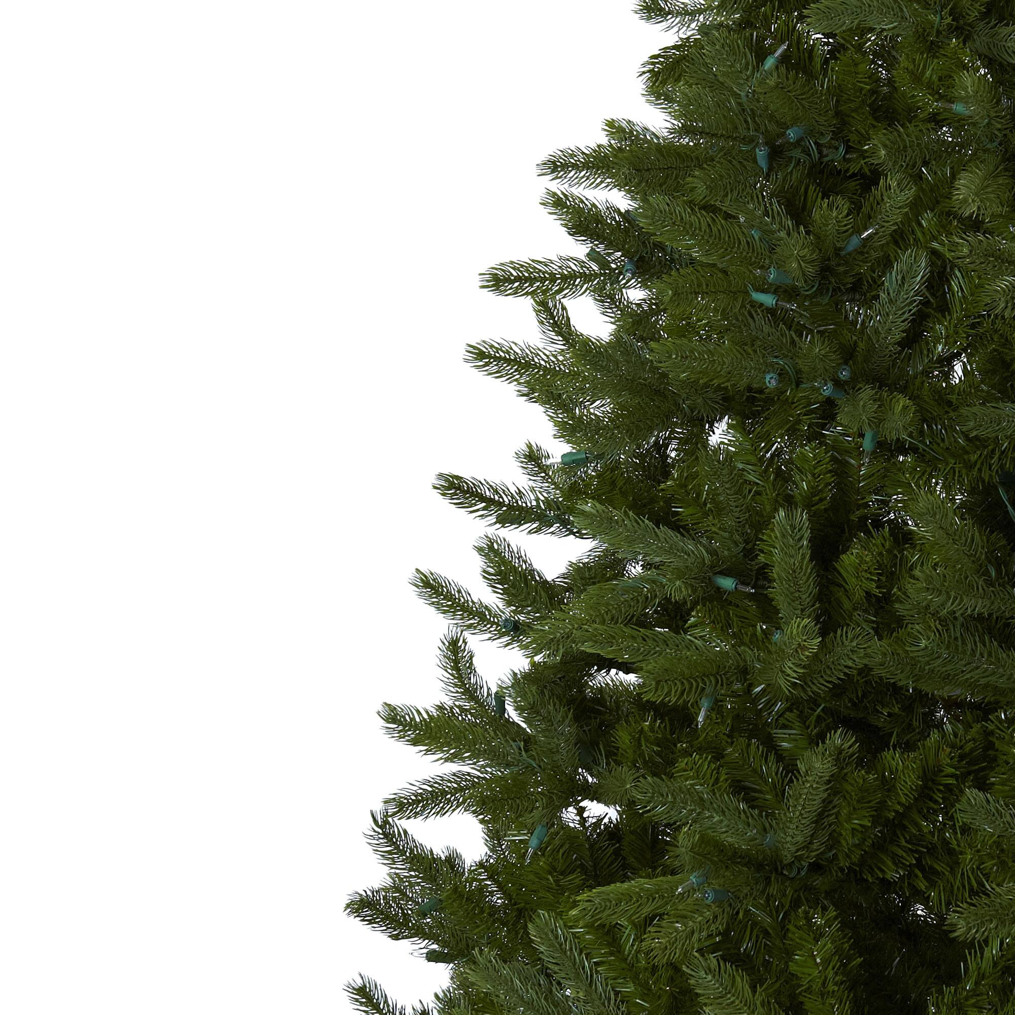 7.5ft. Pre-Lit Rembrandt Artificial Christmas Tree, Clear Lights