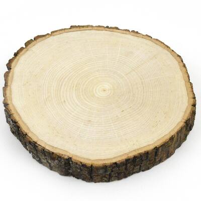 Wilson® Enterprises Basswood Thick Round | Michaels