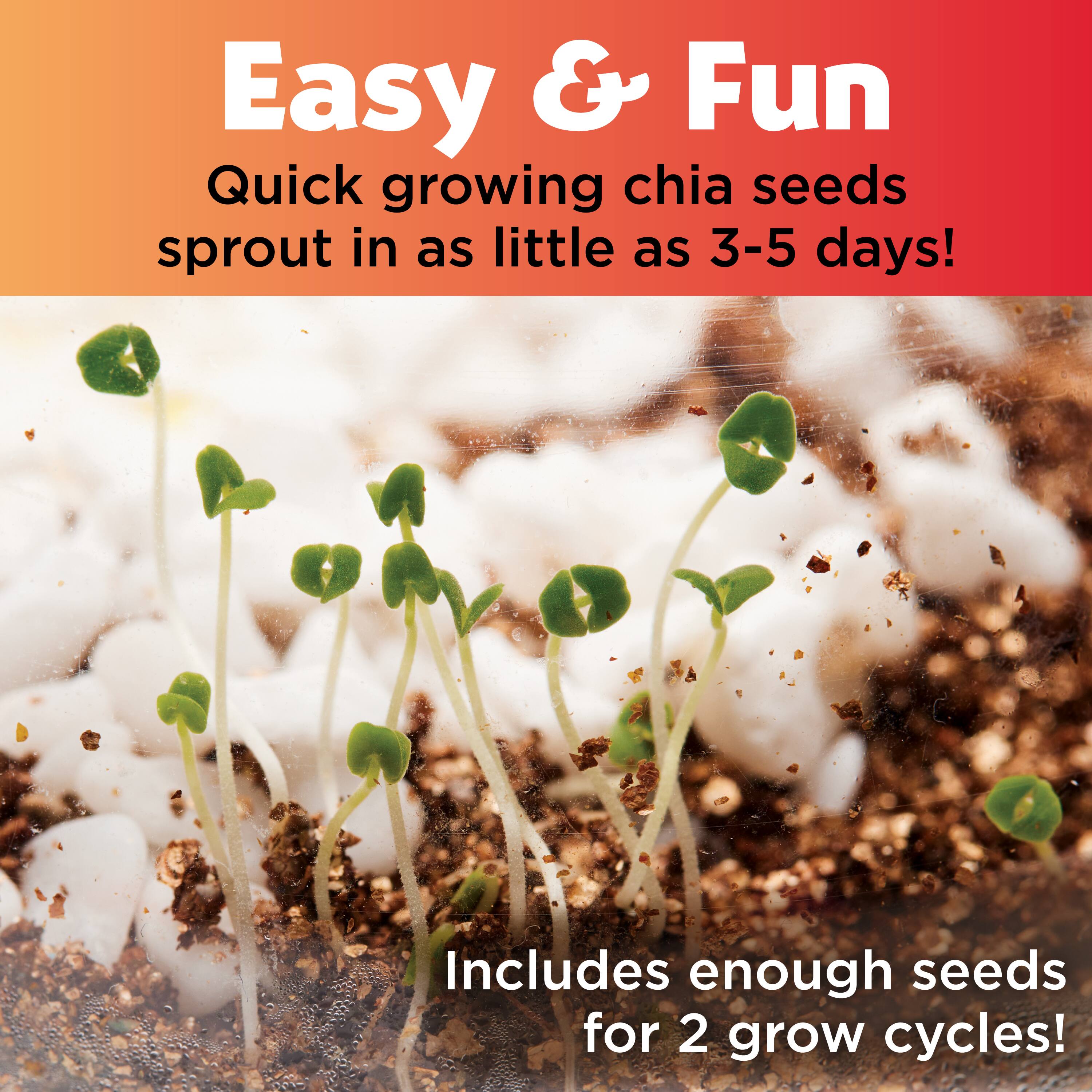 Creativity for Kids® Plant & Grow Woodland Forest