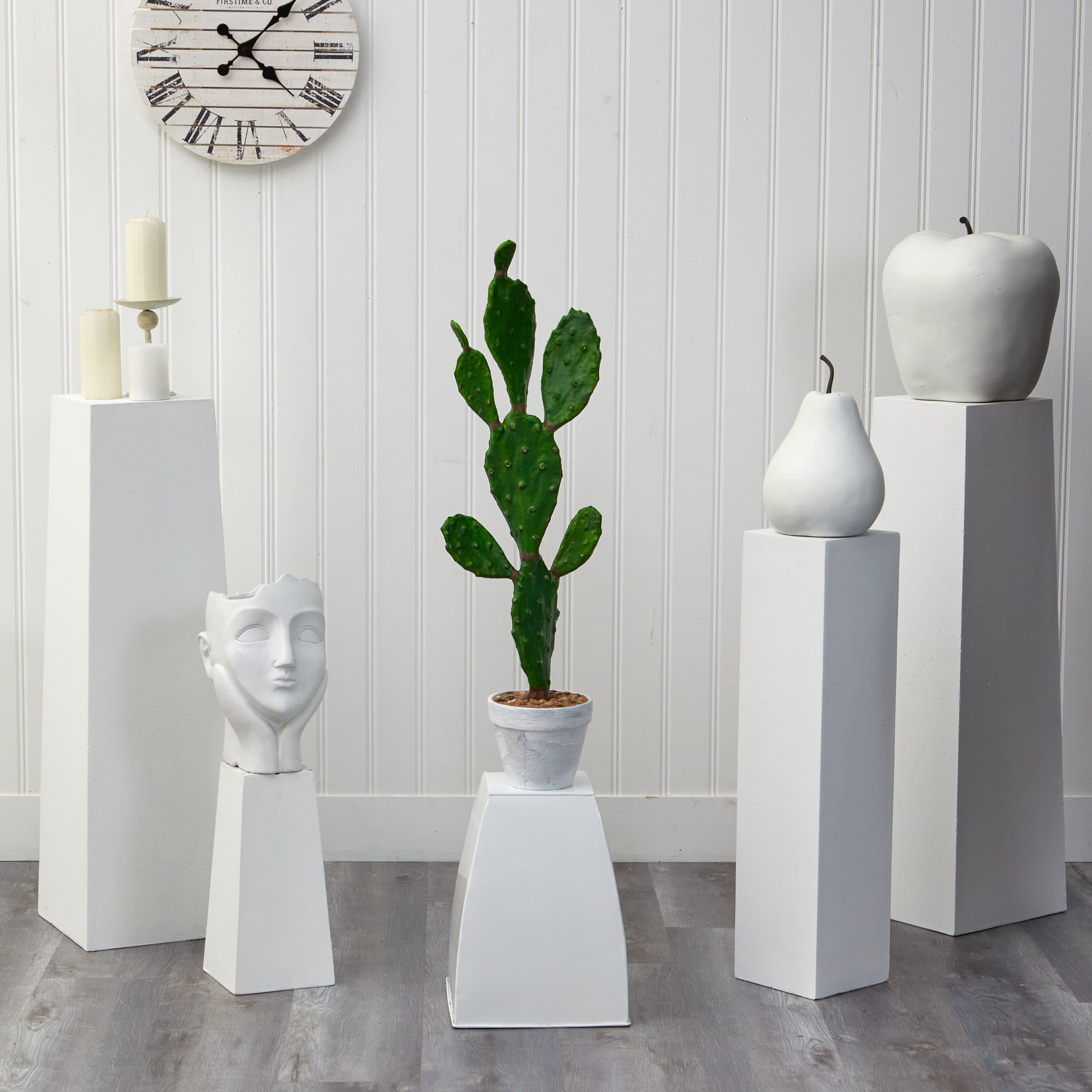 3ft. Cactus Plant in White Planter