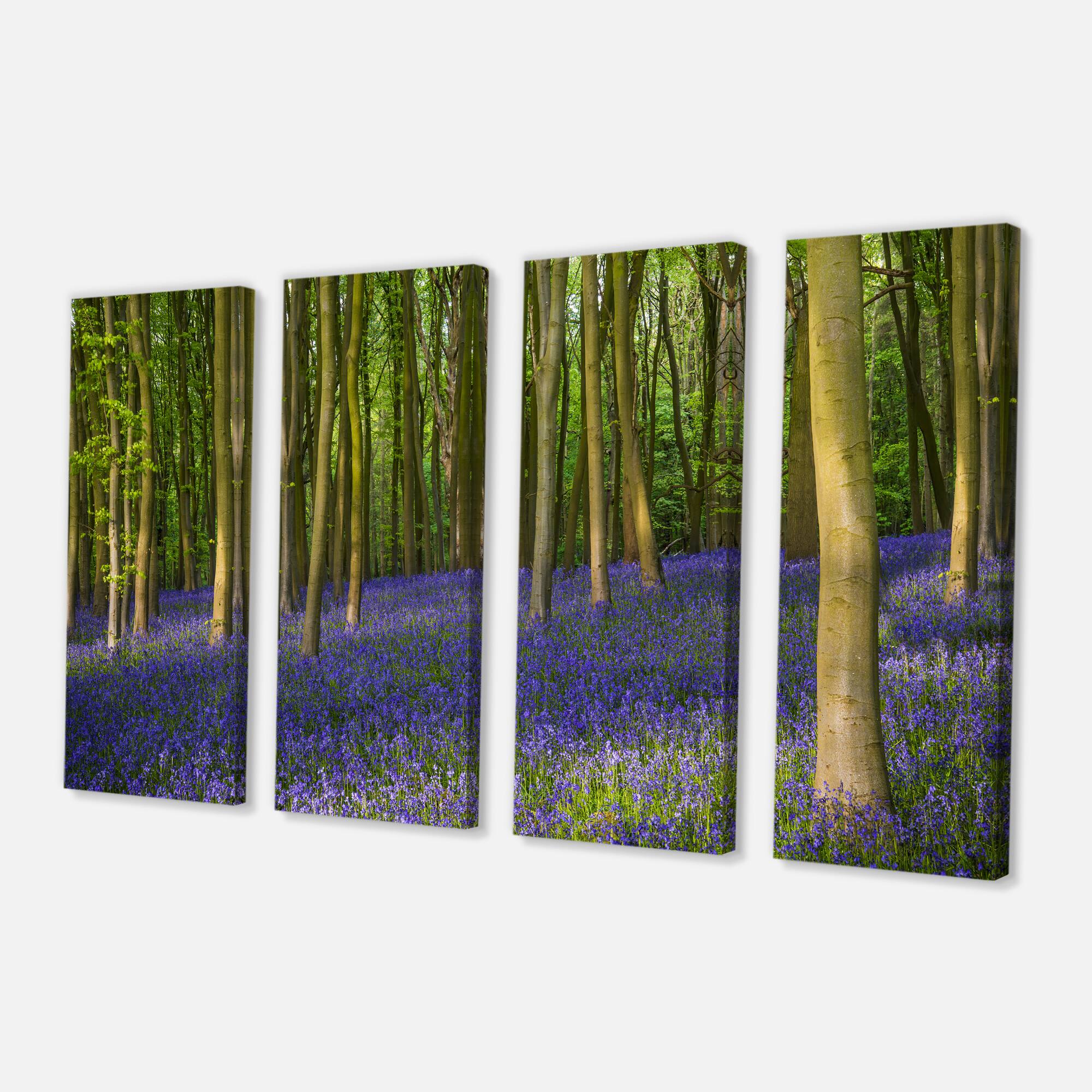Designart - Bluebell Woods in Oxfordshire