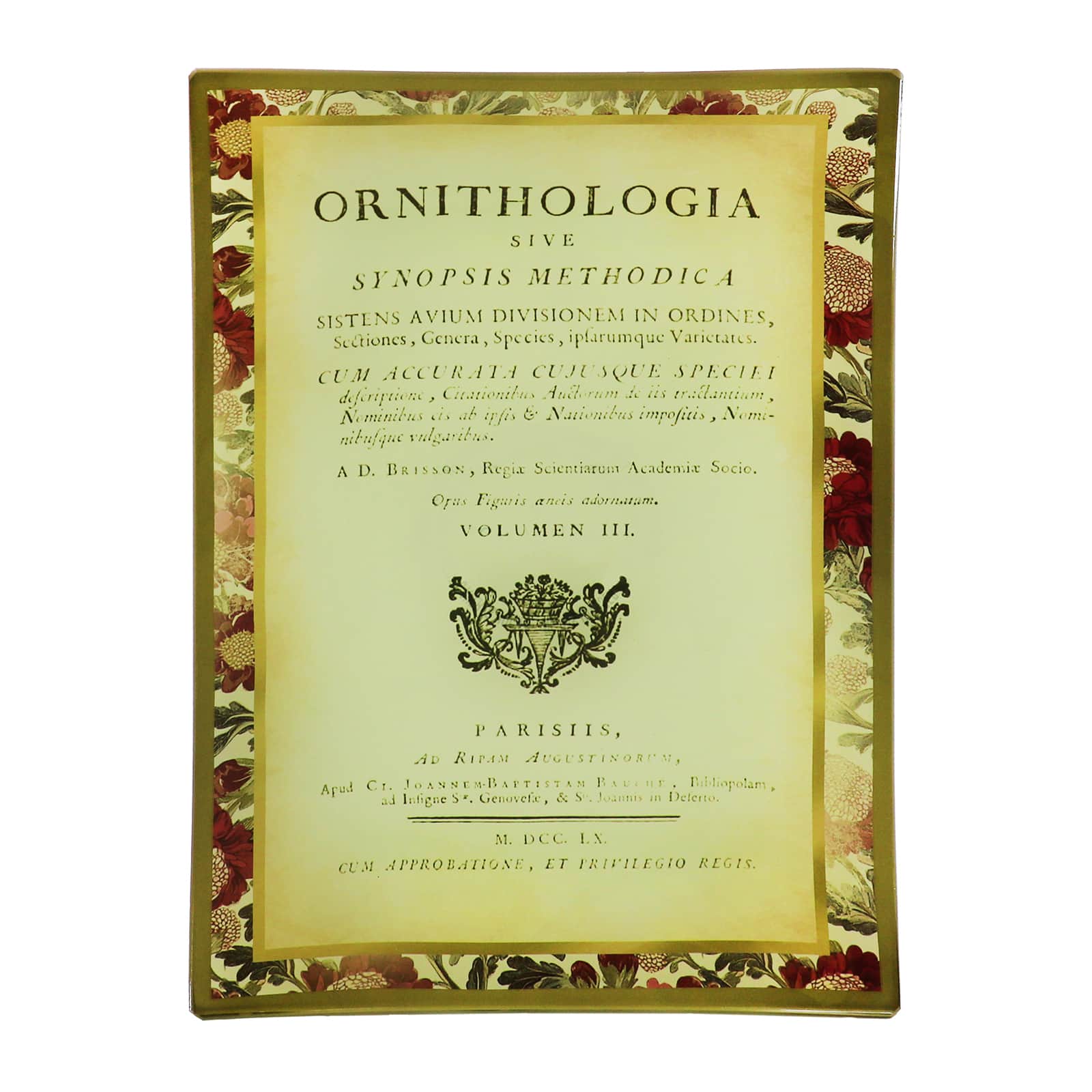 6&#x22; x 9&#x22; Ornithologia Decorative Plate by Ashland&#xAE;