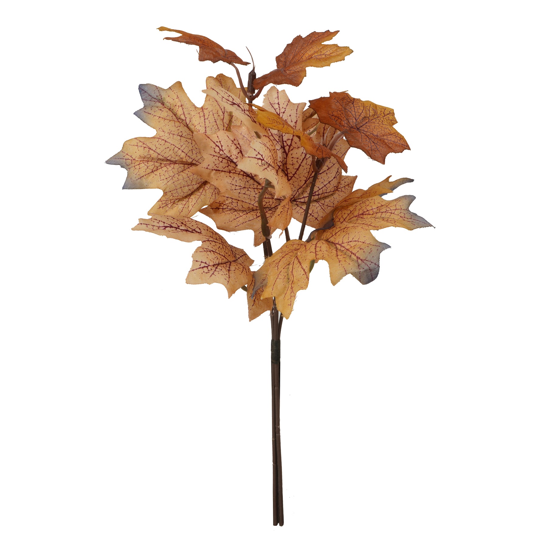 10.5&#x22; Mini Maple Leaf Bundle by Ashland&#xAE;