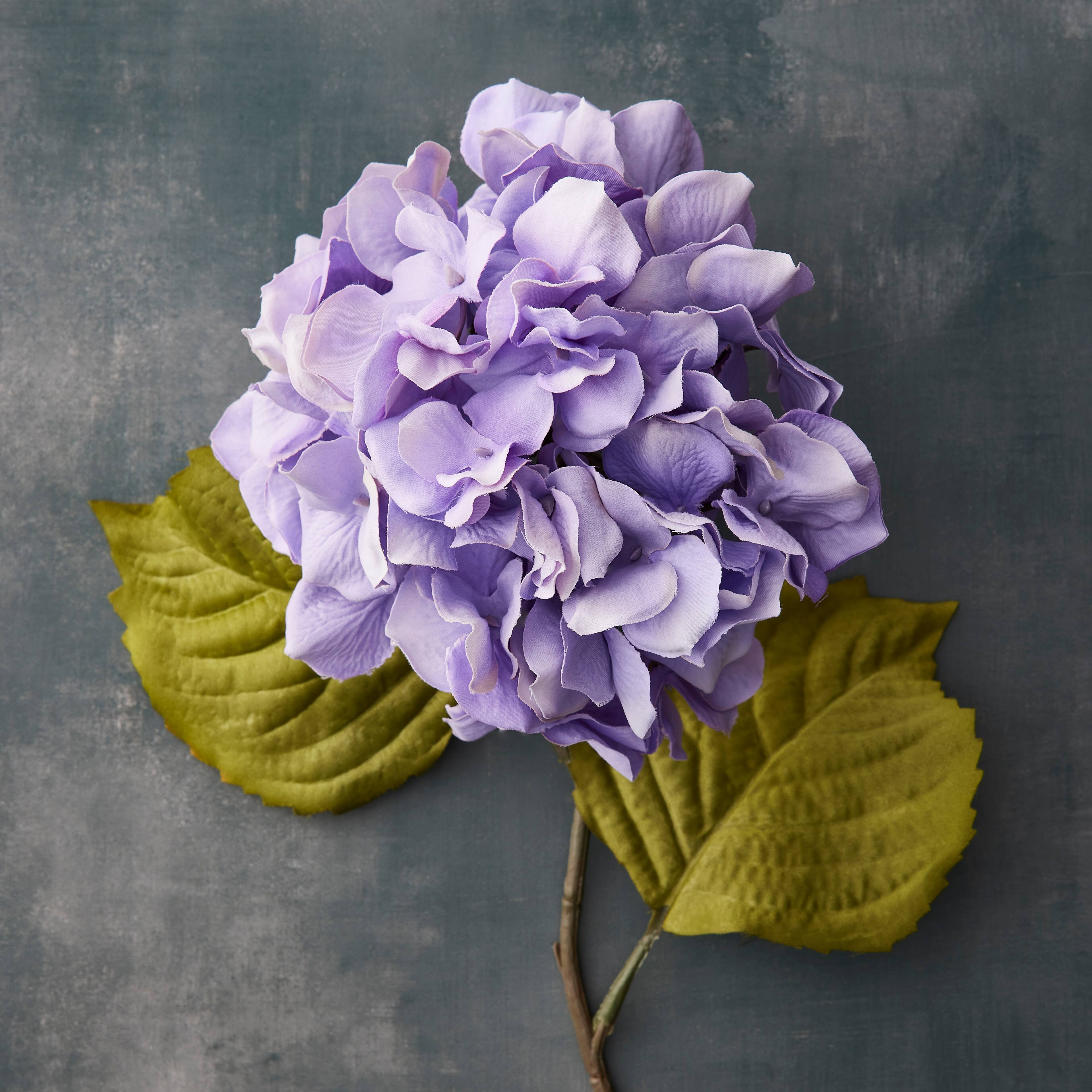 12 Pack: Lavender Hydrangea Steam by Ashland®