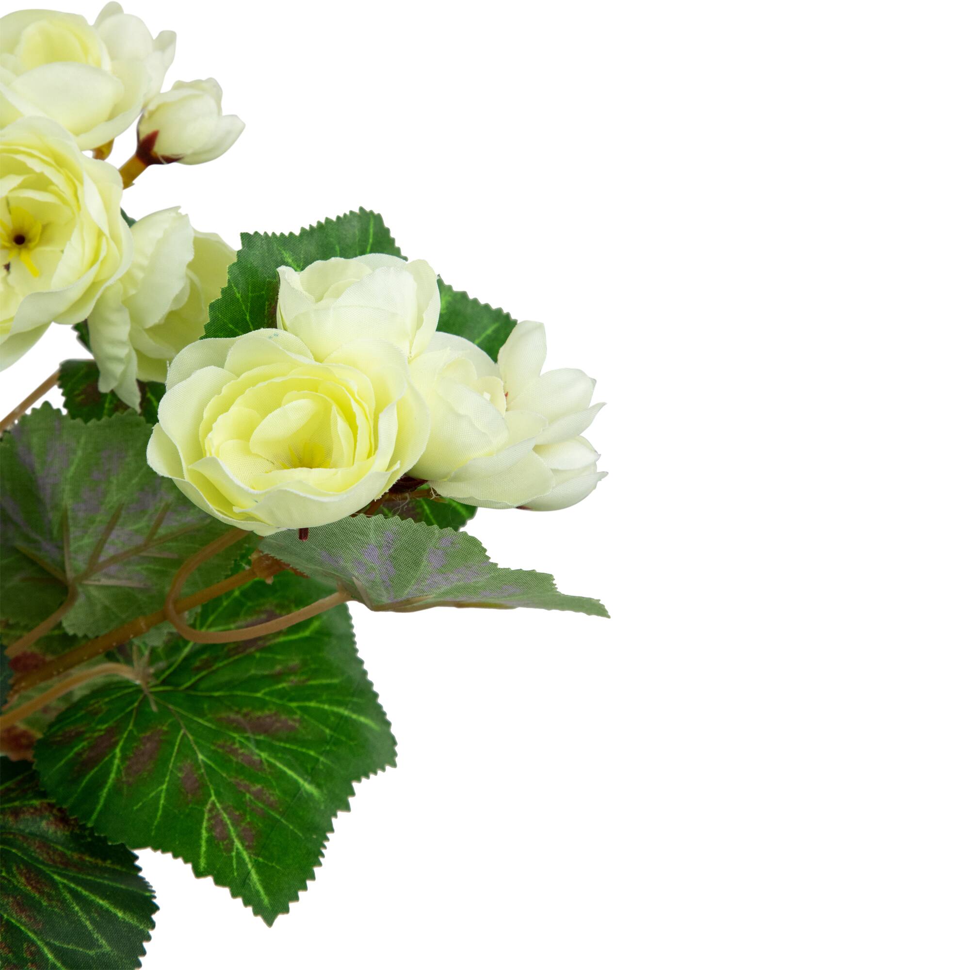 11&#x22; Cream Potted Silk Begonia Floral Arrangement