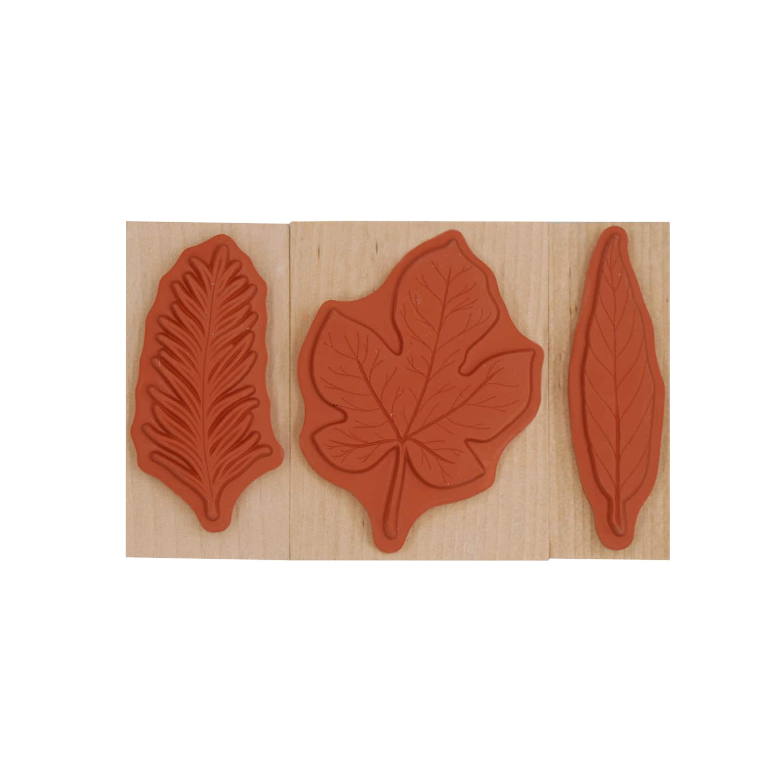 6 Pack: Leaf Stamp Set by Recollections™