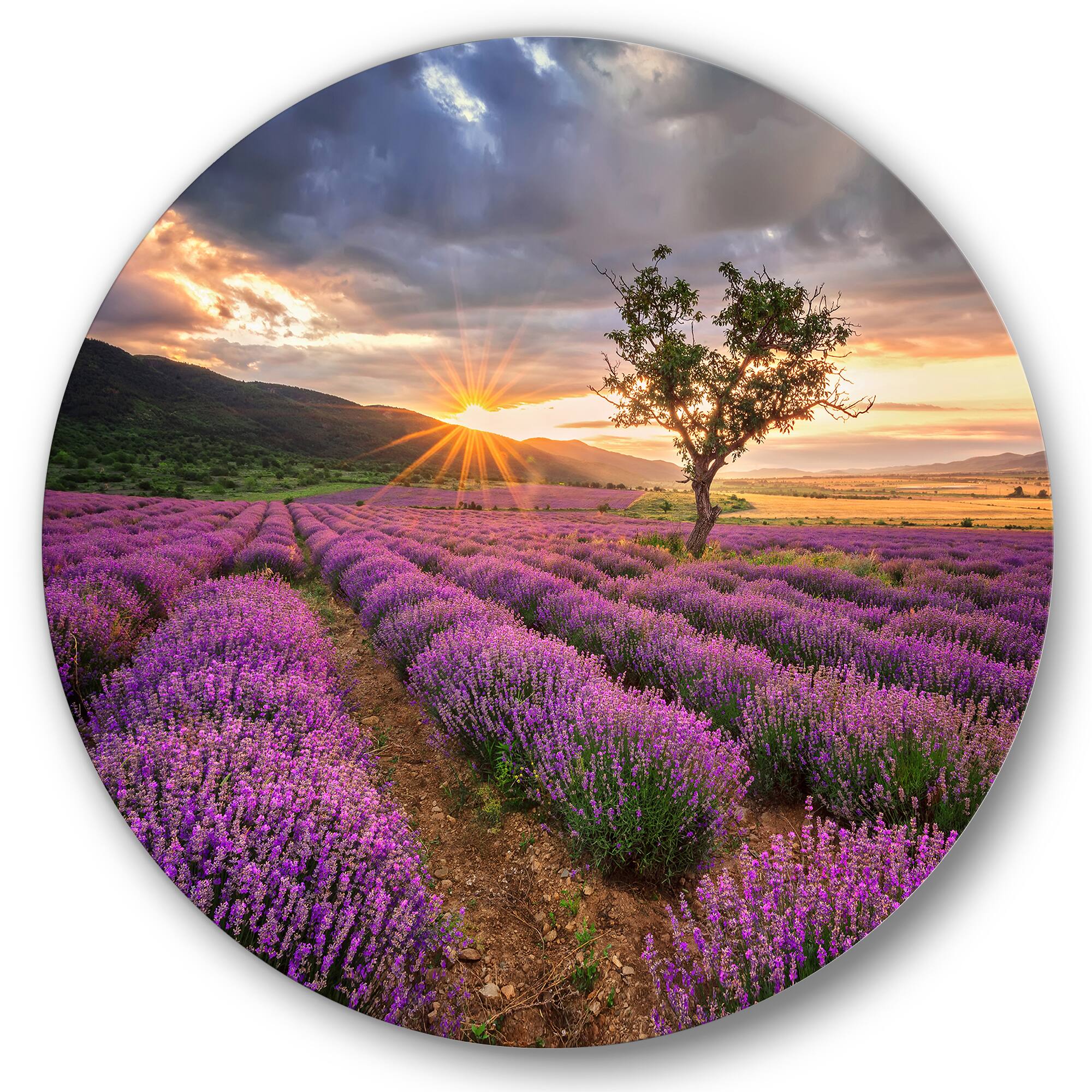 Designart - Sunrise &#x26; Dramatic Clouds Over Lavender Field VIII - Farmhouse Metal Circle Wall Art