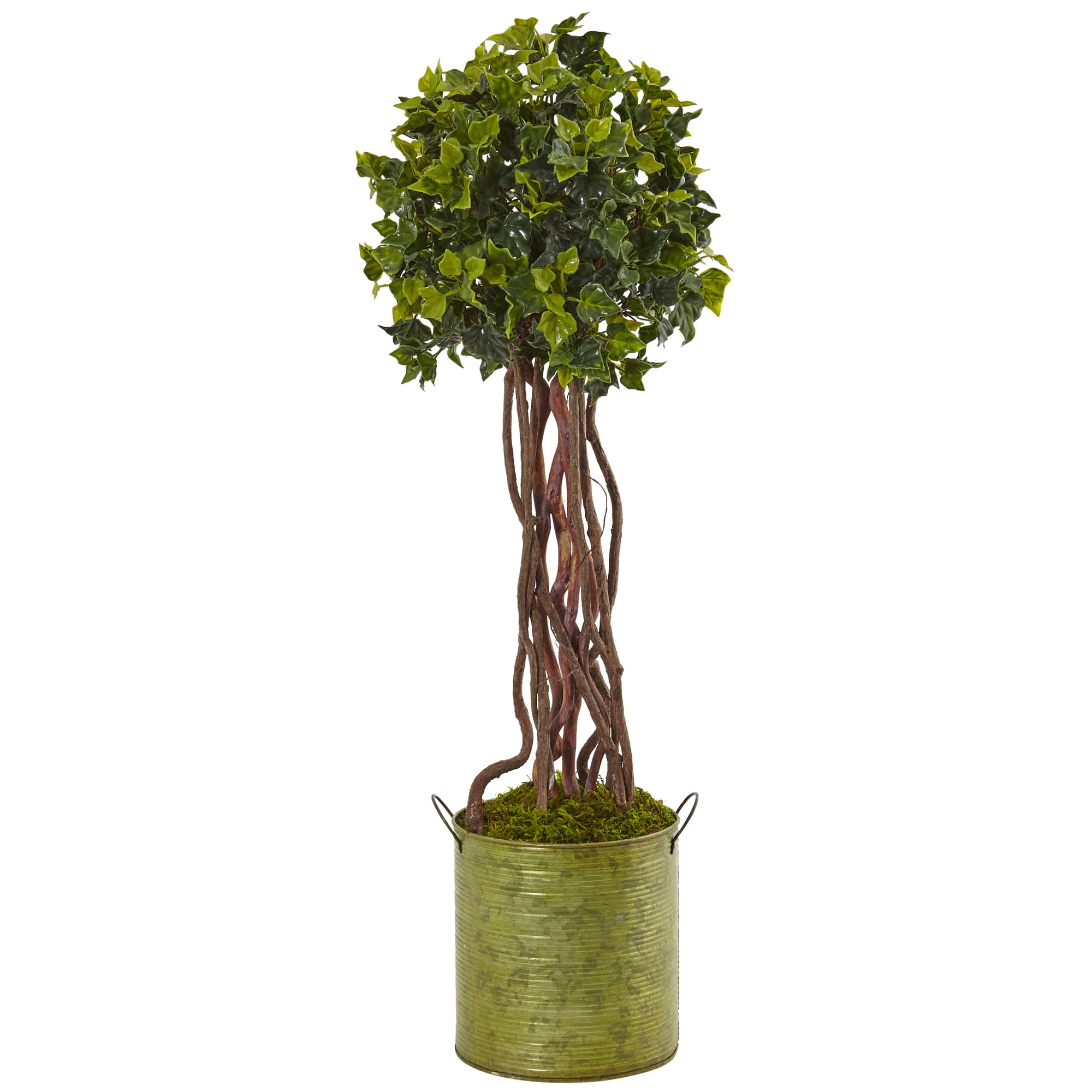 2.5ft. English Ivy Tree in Metal Planter