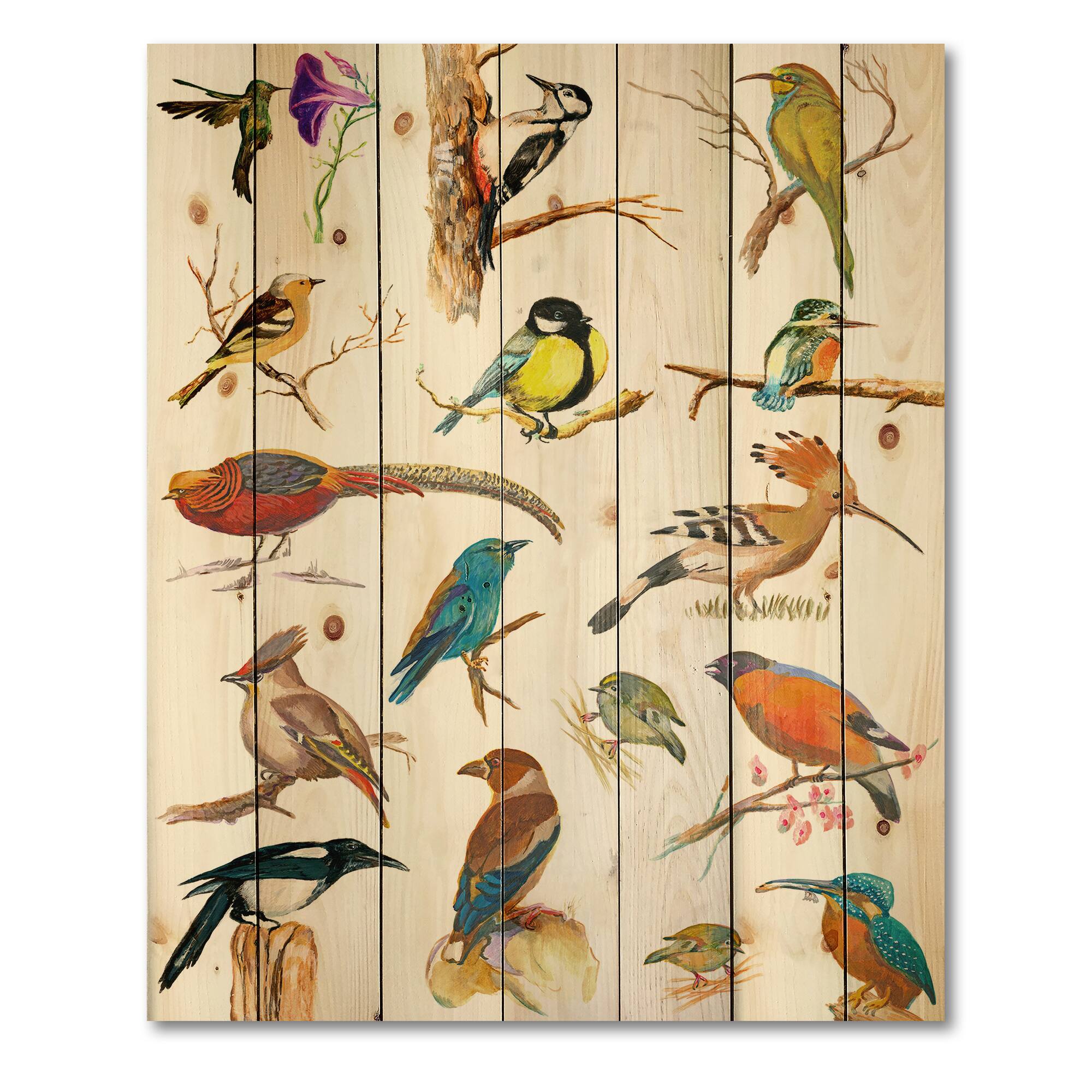 Designart - Vibrant Colored Birds Plancard - Traditional Print on Natural Pine Wood