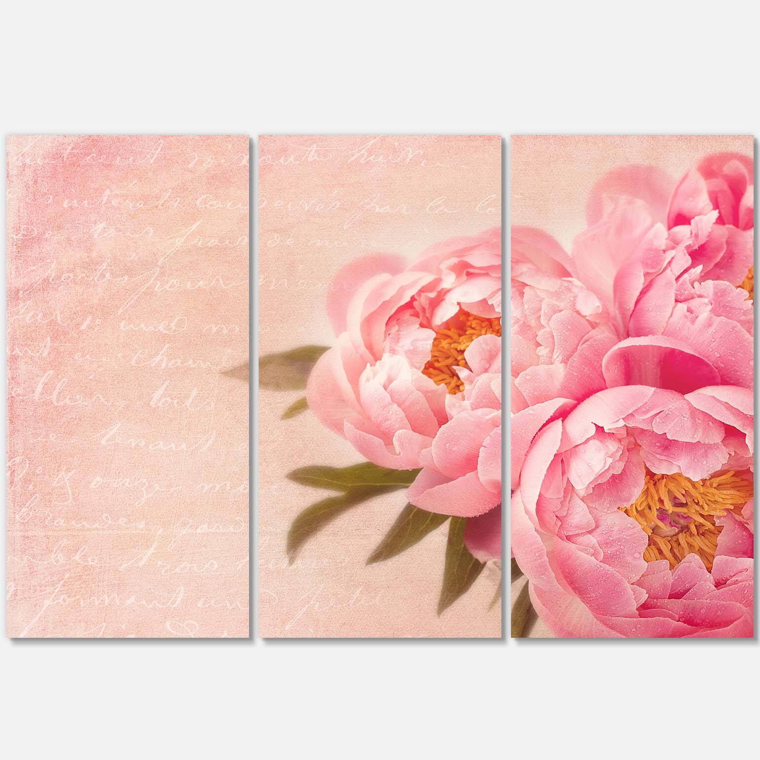 Designart - Peony Flowers against Scribbled Back - Floral Canvas Art Print