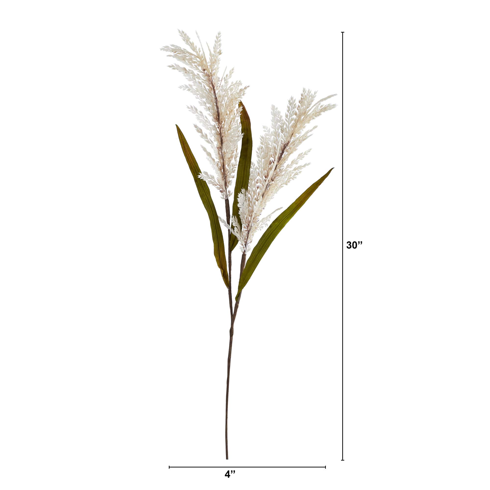 30" Cream Sorghum Harvest Spray, 12ct.