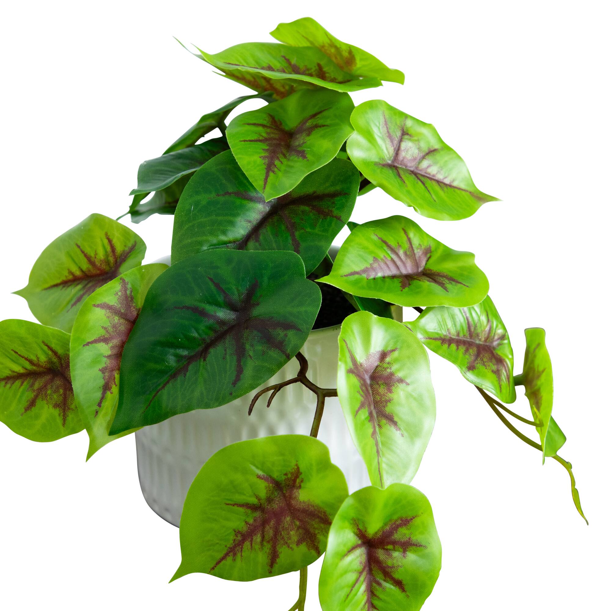 8" Mixed Greenery in Ceramic Planters Set