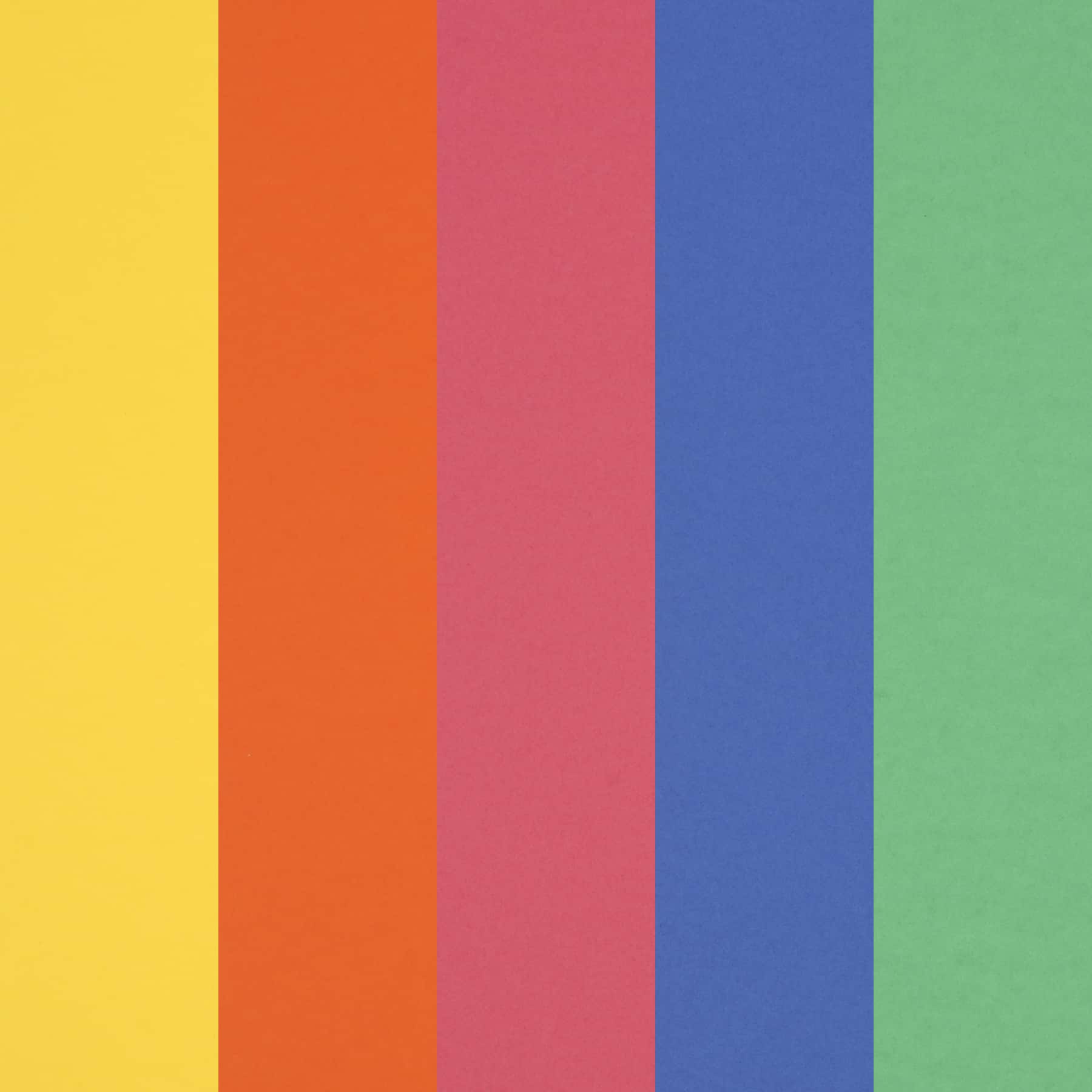 12 Packs: 50 ct. (600 total) Primary 8.5" x 11" Cardstock Paper by Recollections™