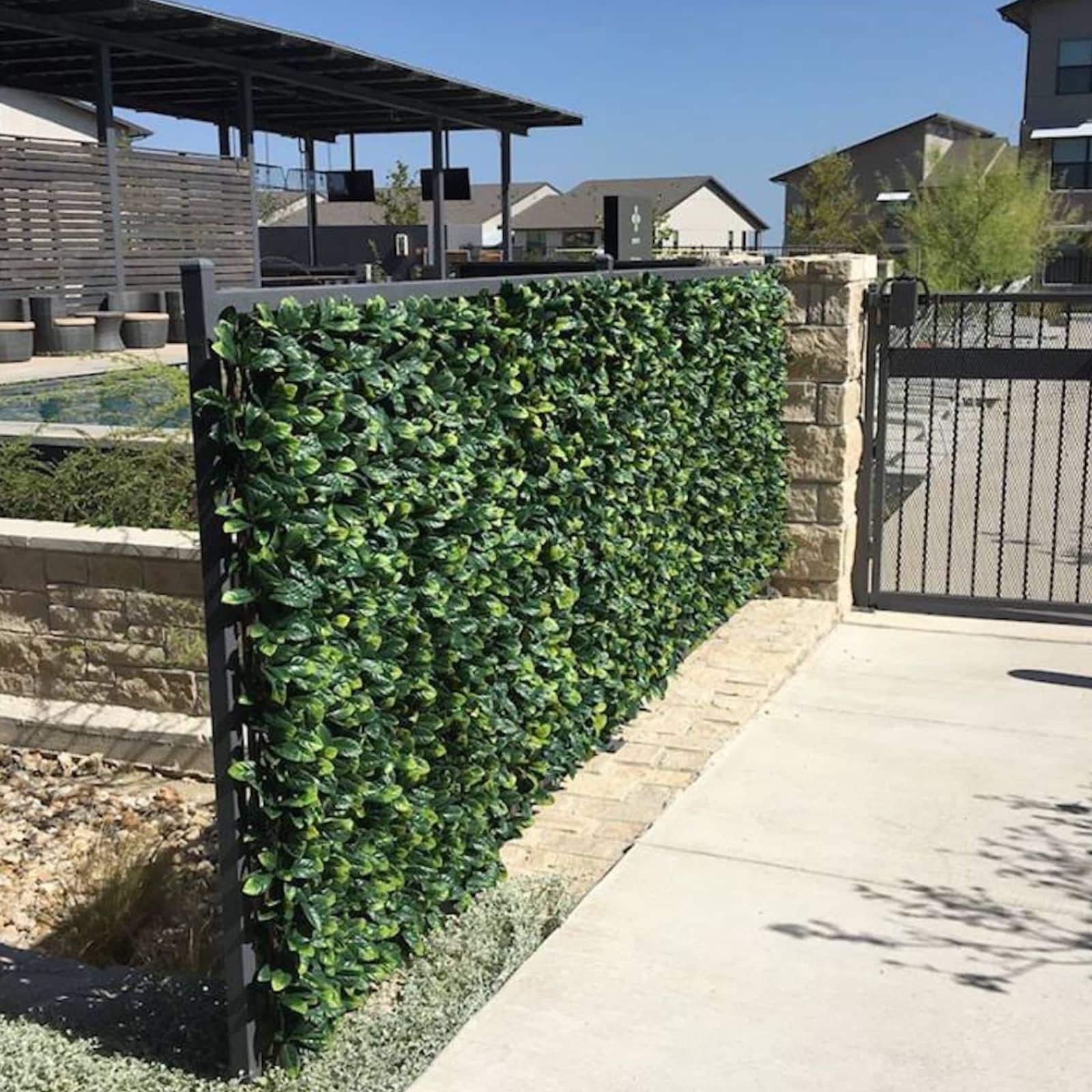 4ft. Expandable Lemon Leaf Lattice Screen