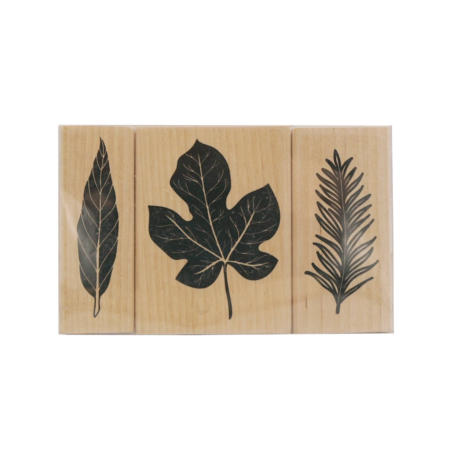 6 Pack: Leaf Stamp Set by Recollections™
