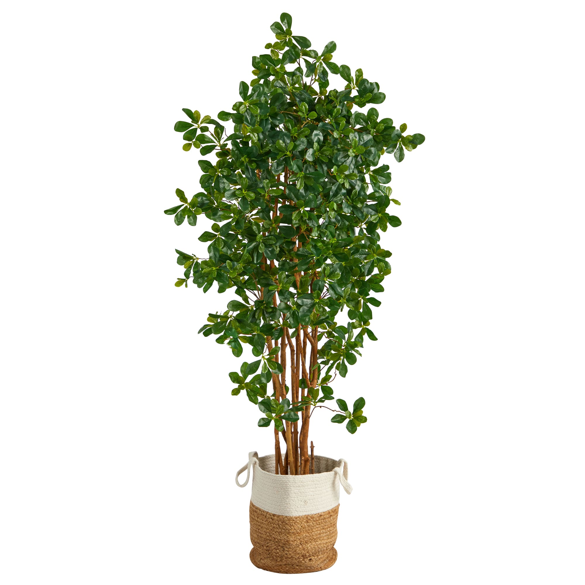 6ft. Black Olive Artificial Tree in Handmade Natural Jute and Cotton Planter