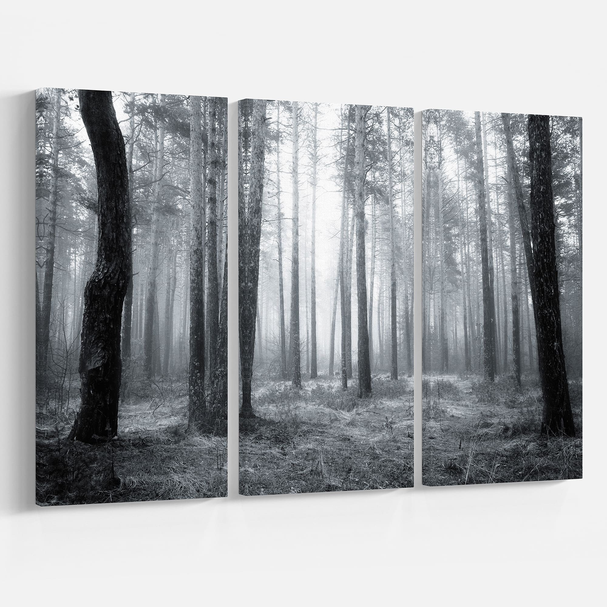 Designart - Black and White Foggy Forest - Forest Canvas Art Print