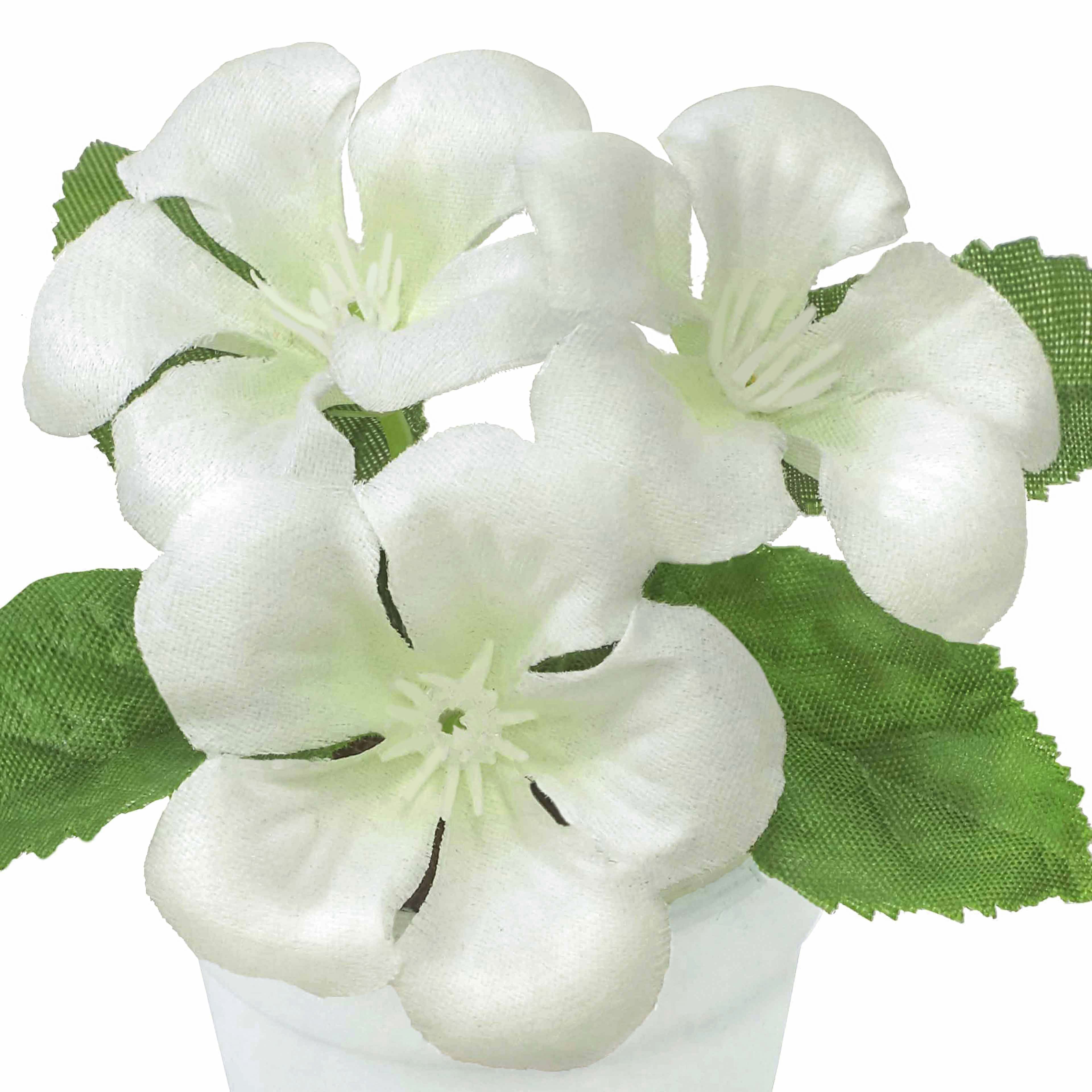 4&#x22; Geranium in White Pot by Ashland&#xAE;