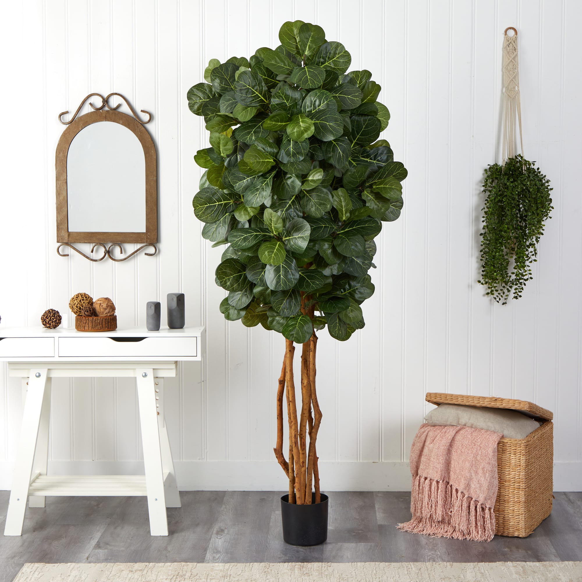 7ft. Potted Fiddle Leaf Fig Tree