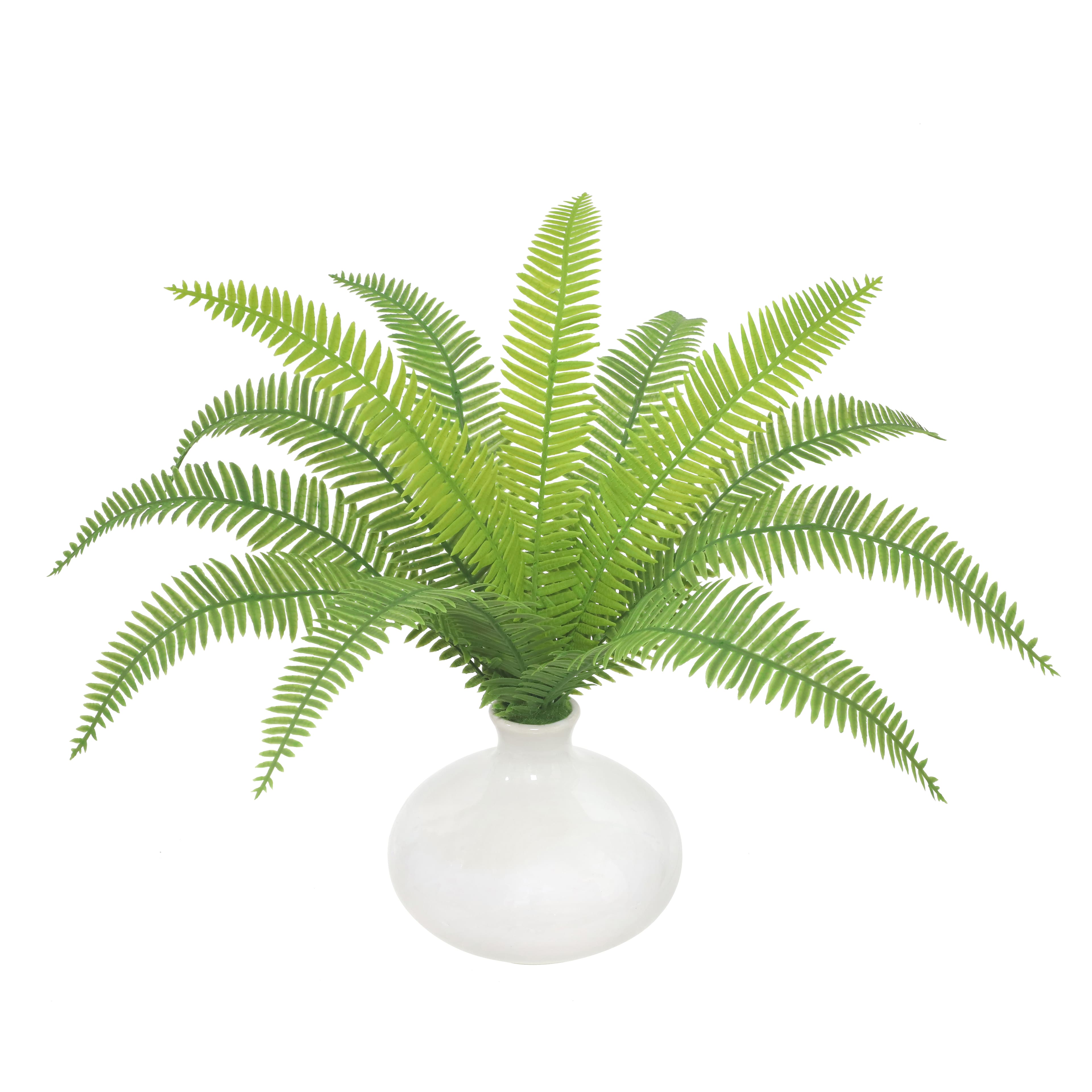 13&#x22; Feather Fern in White Ceramic Vase by Ashland&#xAE;