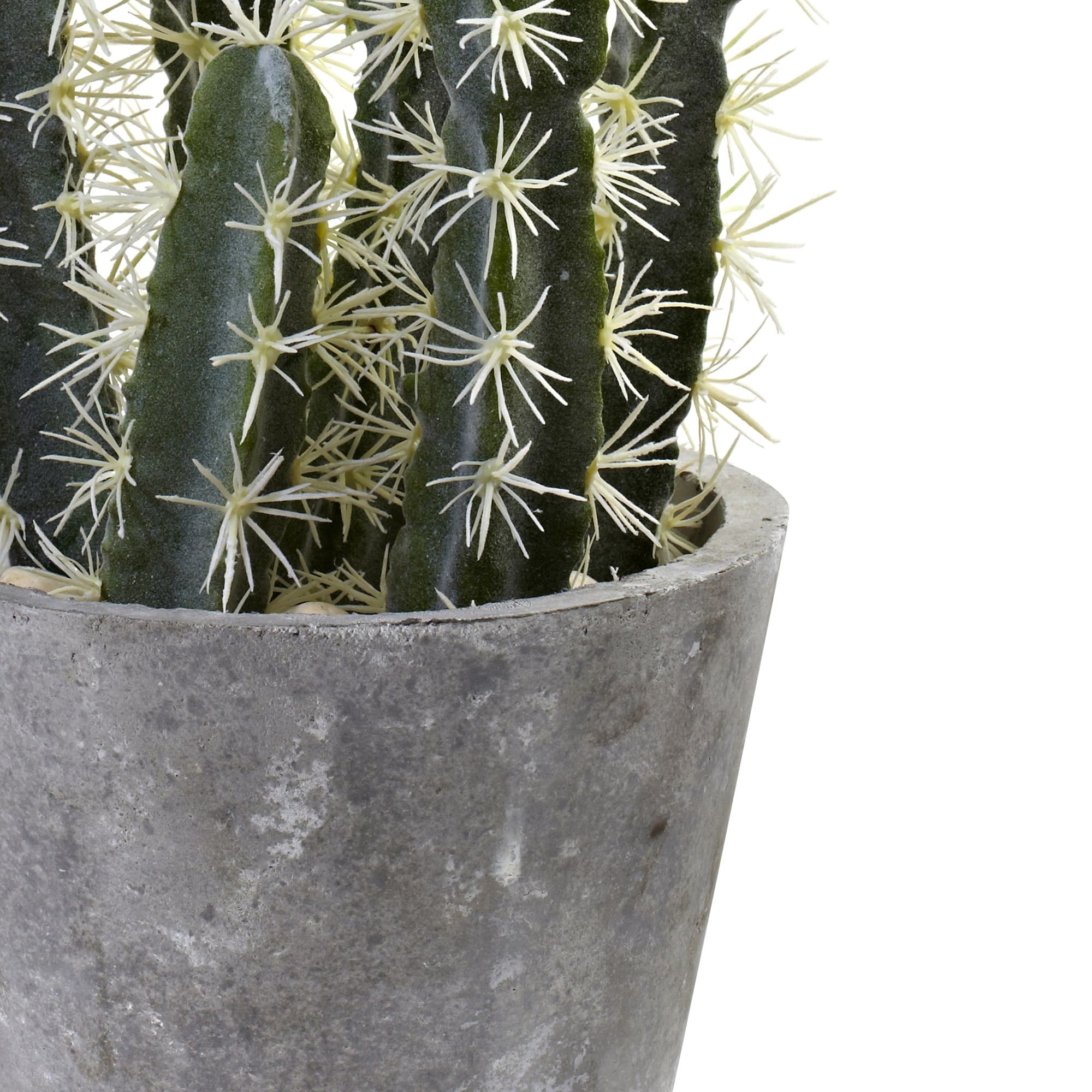2ft. Cactus Garden In Cement Planter
