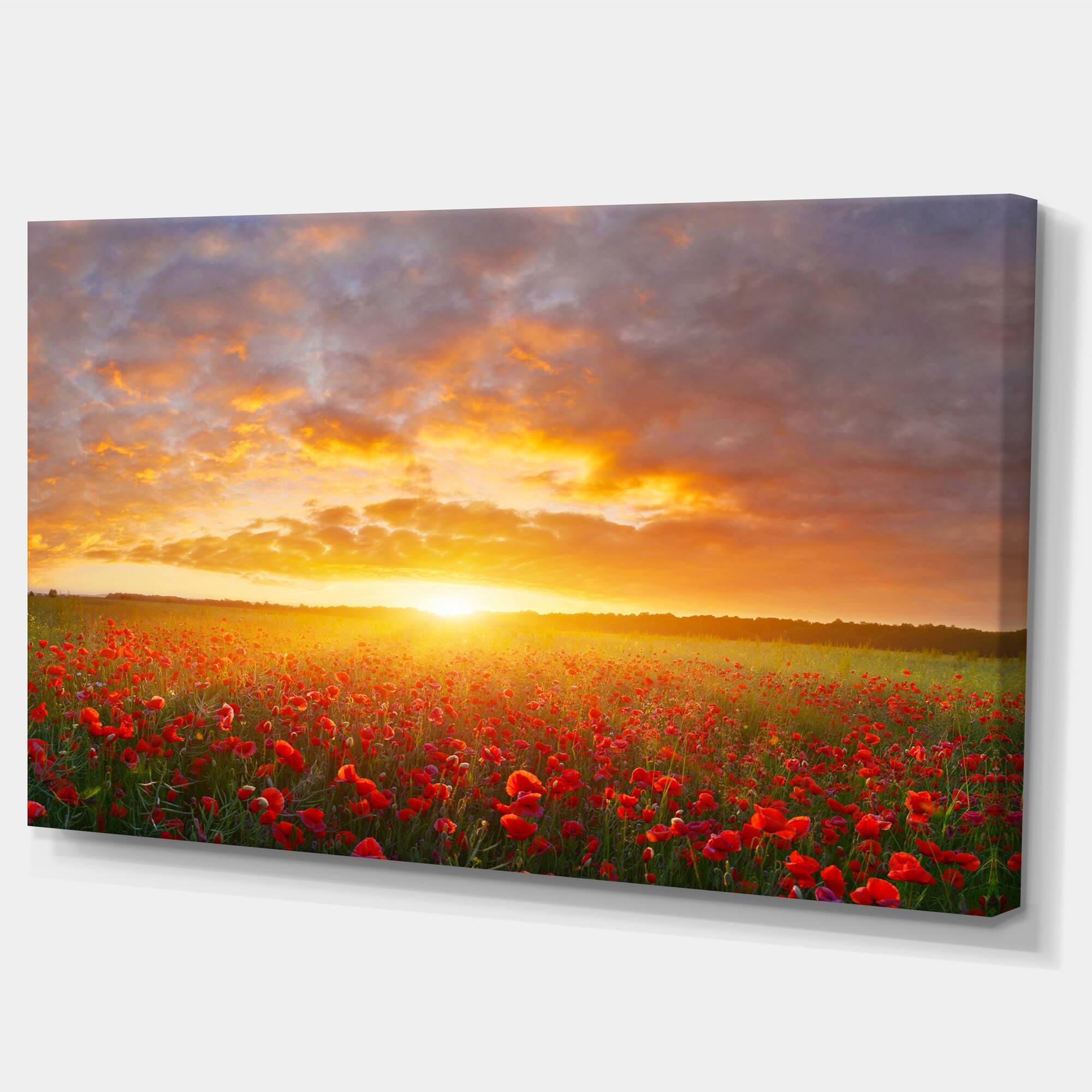 Designart - Poppy Field under Bright Sunset - Landscape Canvas Art Print