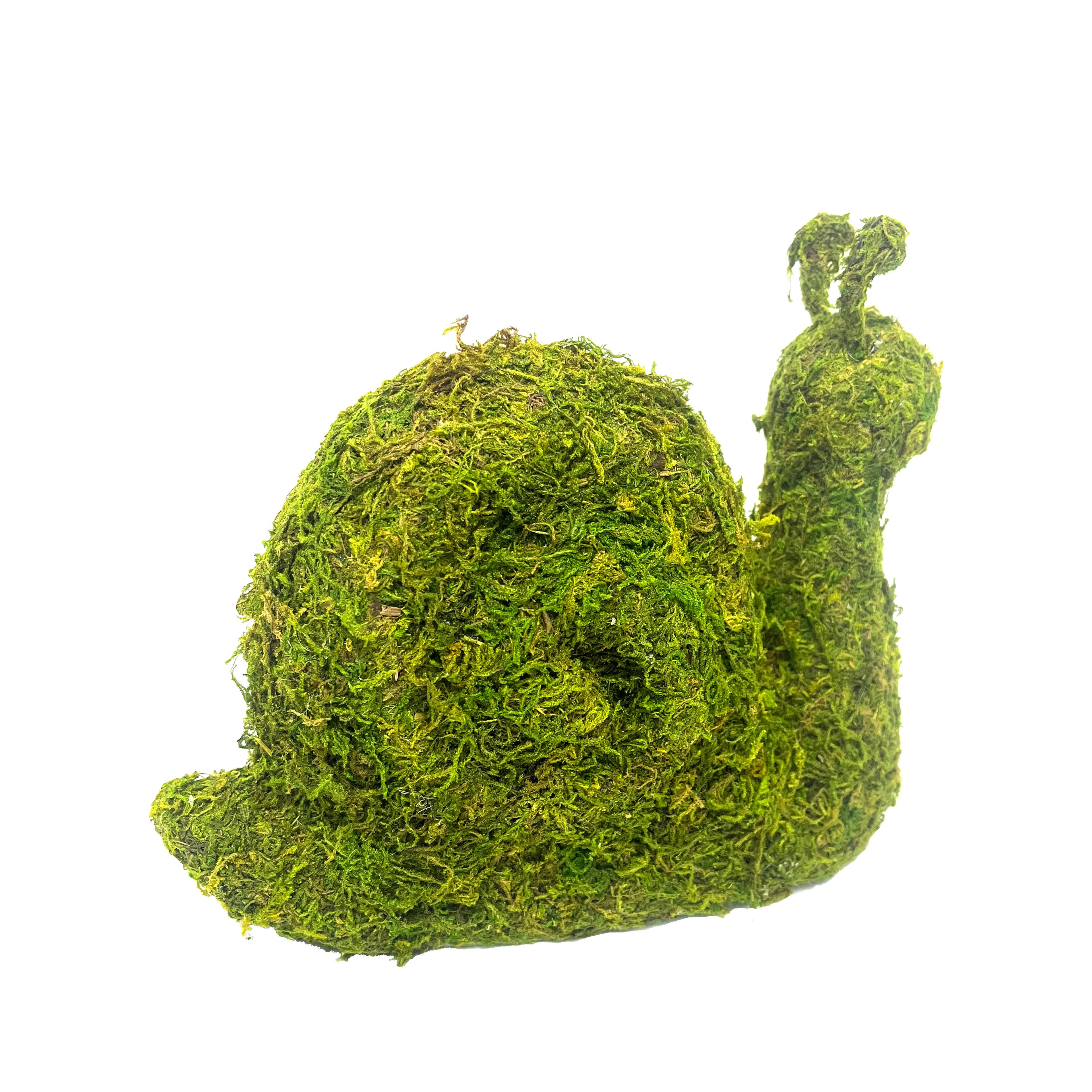 8&#x22; Green Decorative Moss Snail Accent by Ashland&#xAE;