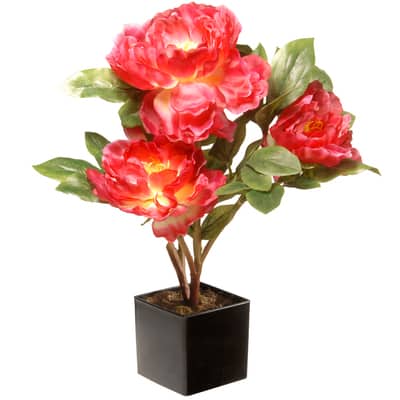 10 Inch Pink Peony Premade in Square Glass Pot