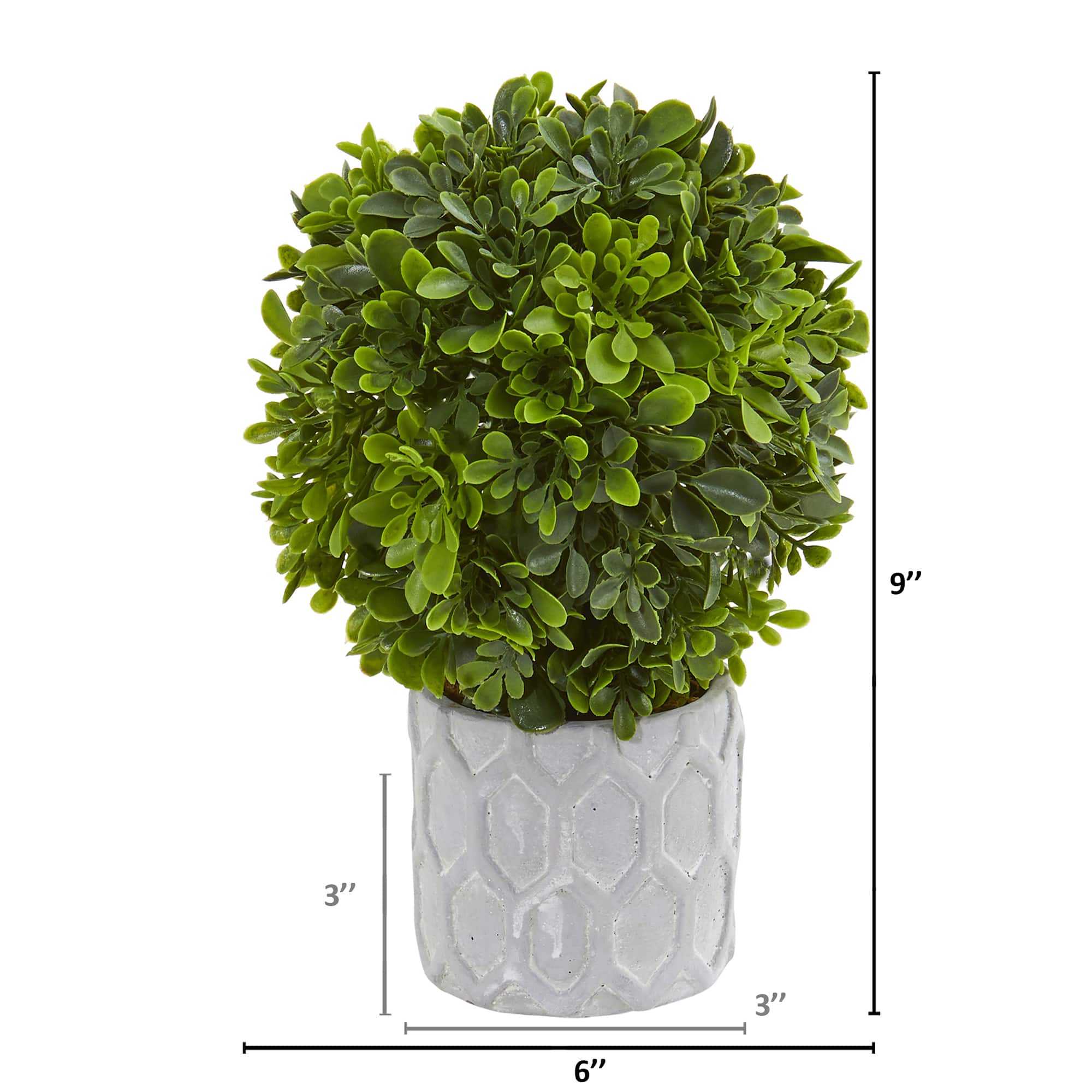 9&#x22; Potted Boxwood Mini Topiary, 3ct.