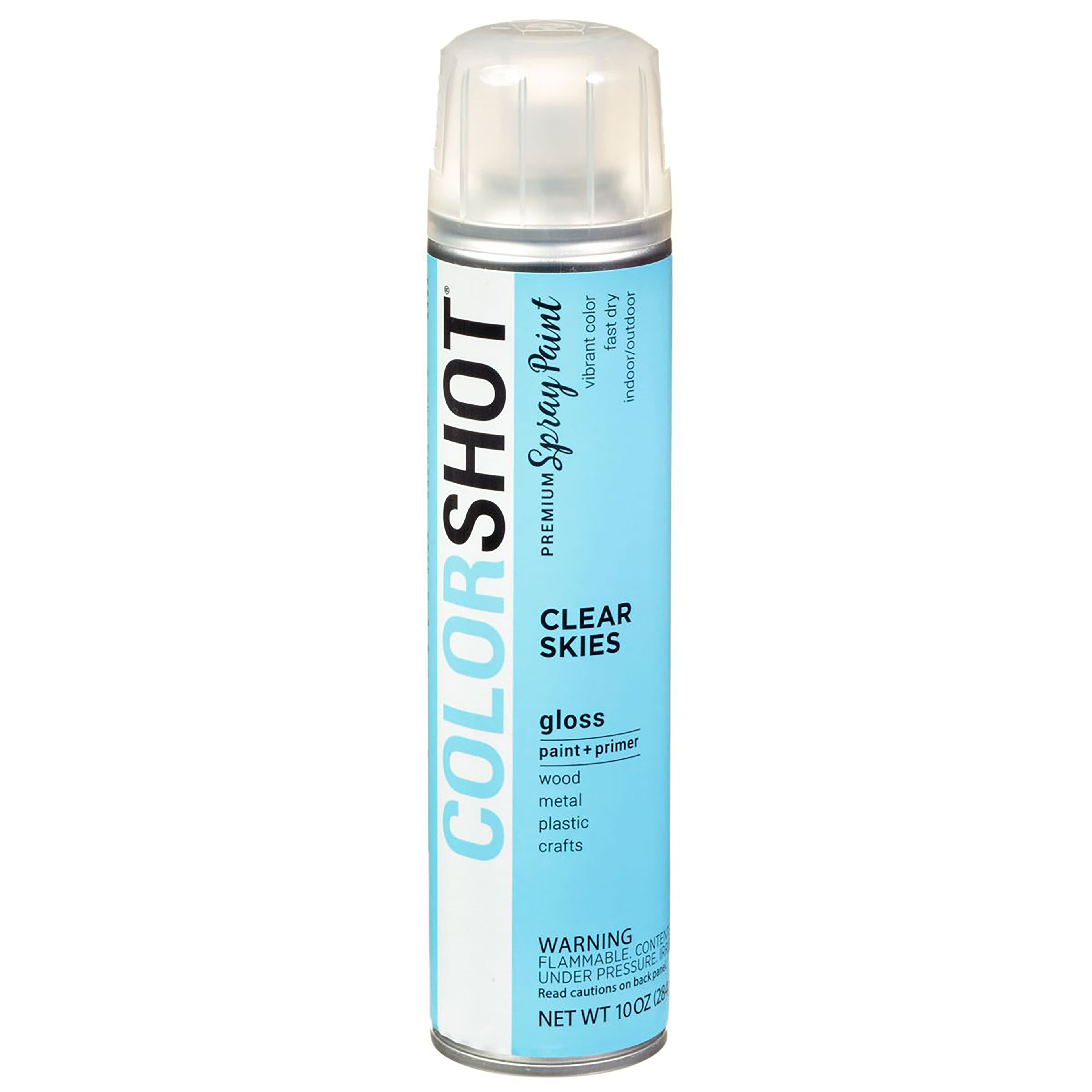 COLORSHOT&#xAE; Premium Gloss Spray Paint