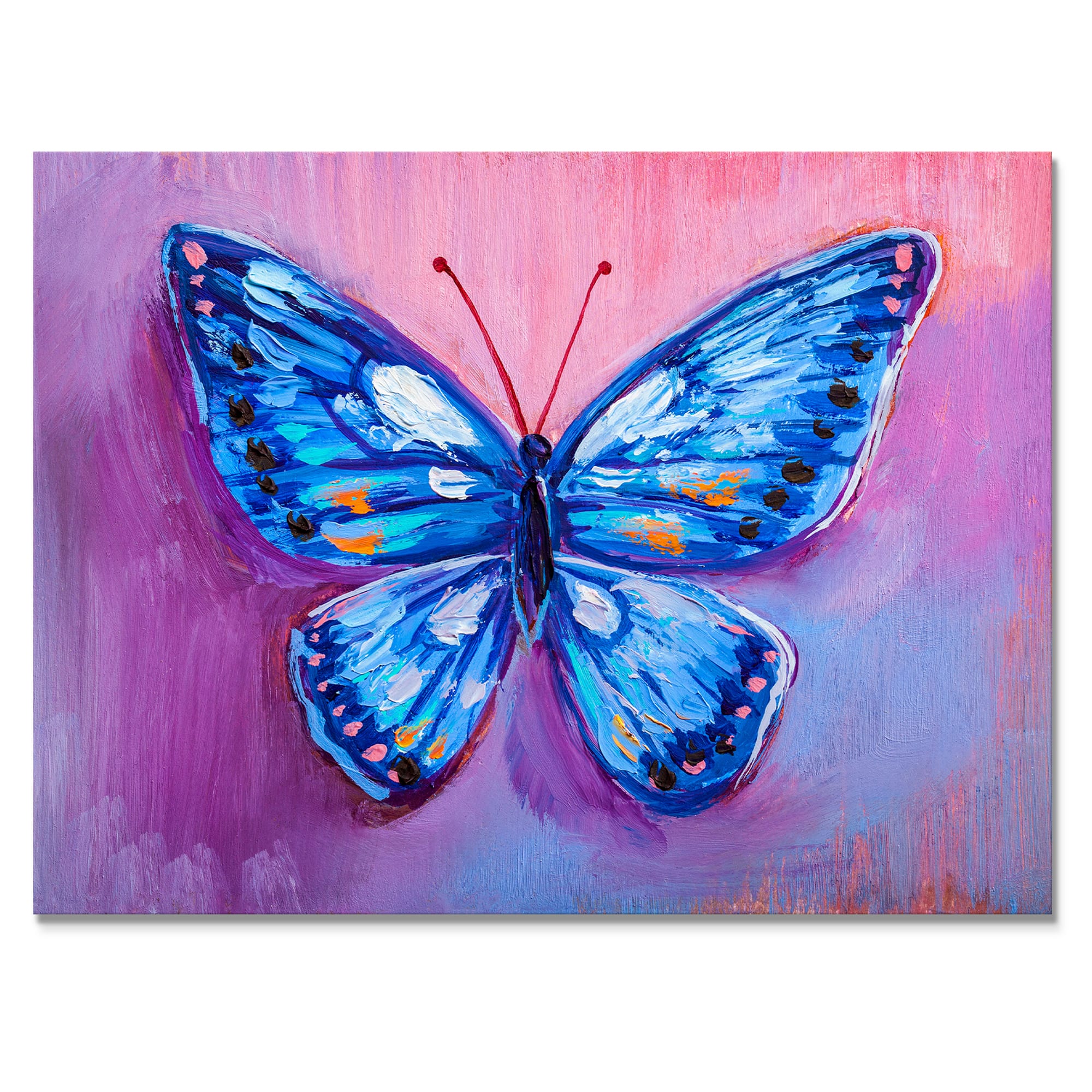 Designart - Oil painting of blue butterfly - Cottage Canvas Wall Art