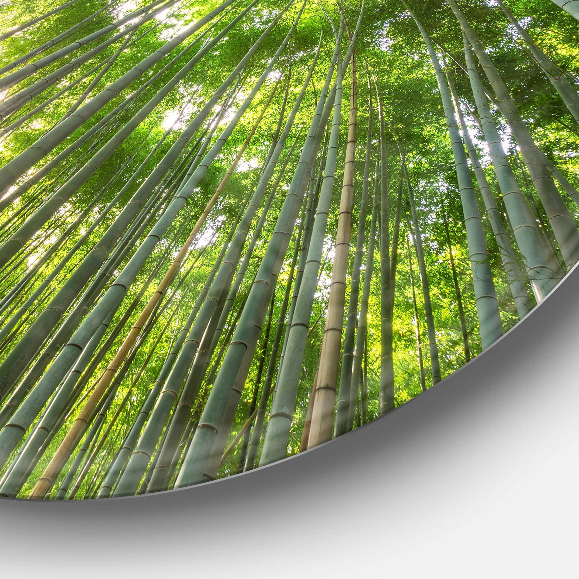 Designart - Peaks of Bamboo in Kyoto Forest&#x27; Oversized Forest Metal Artwork