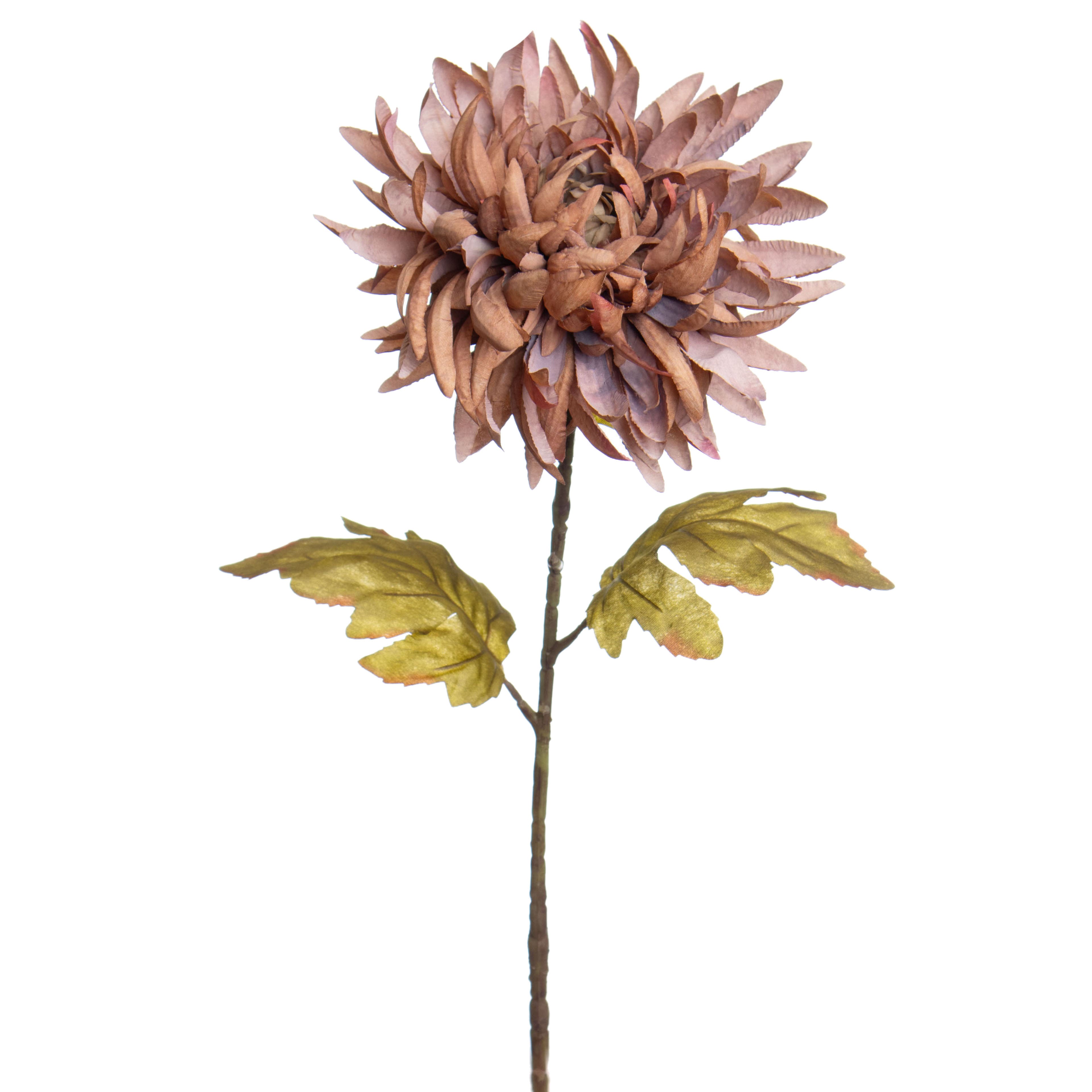 31&#x22; Brown Crab Mum Stem by Ashland&#xAE;