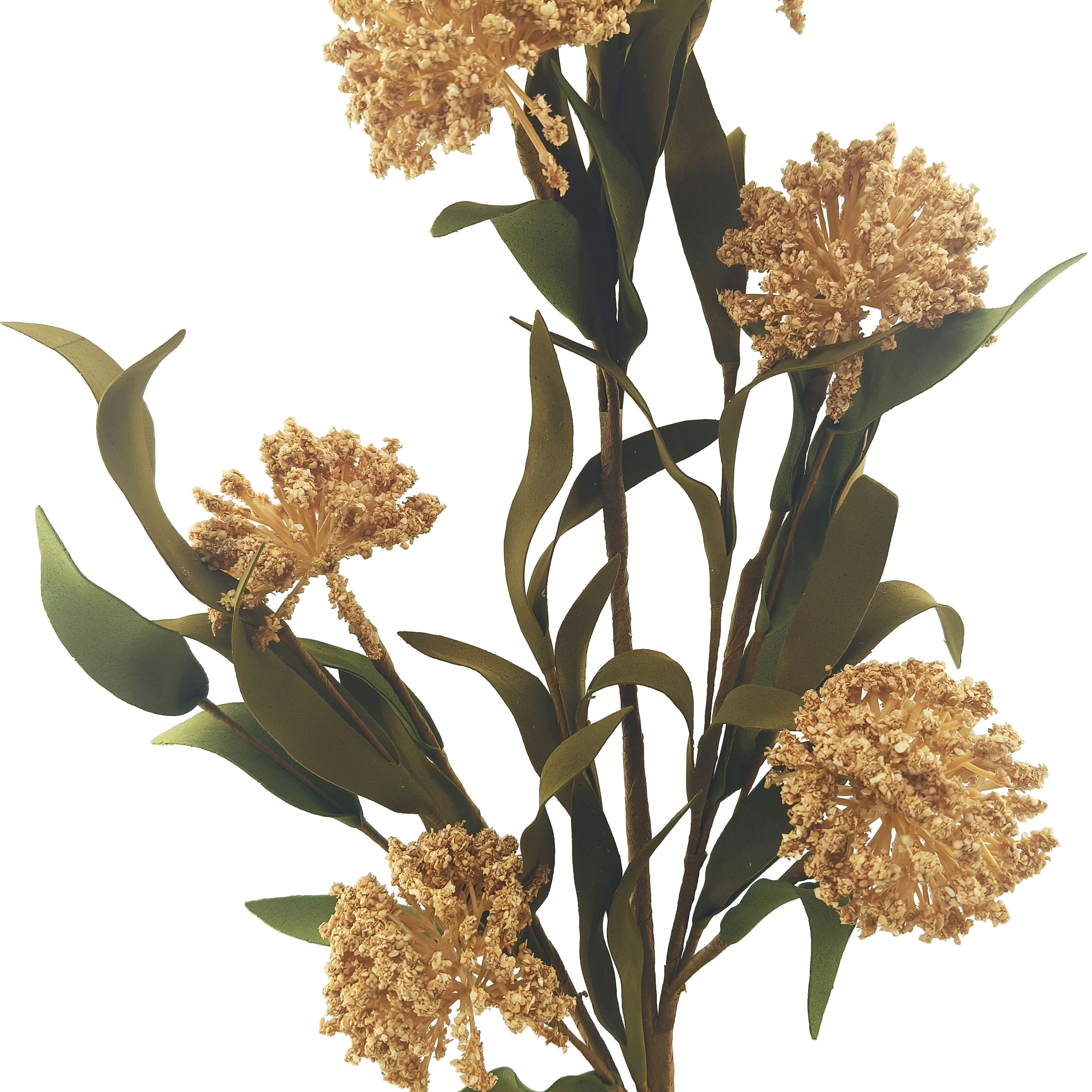 30&#x22; Cream Sedum Stem by Ashland&#xAE;