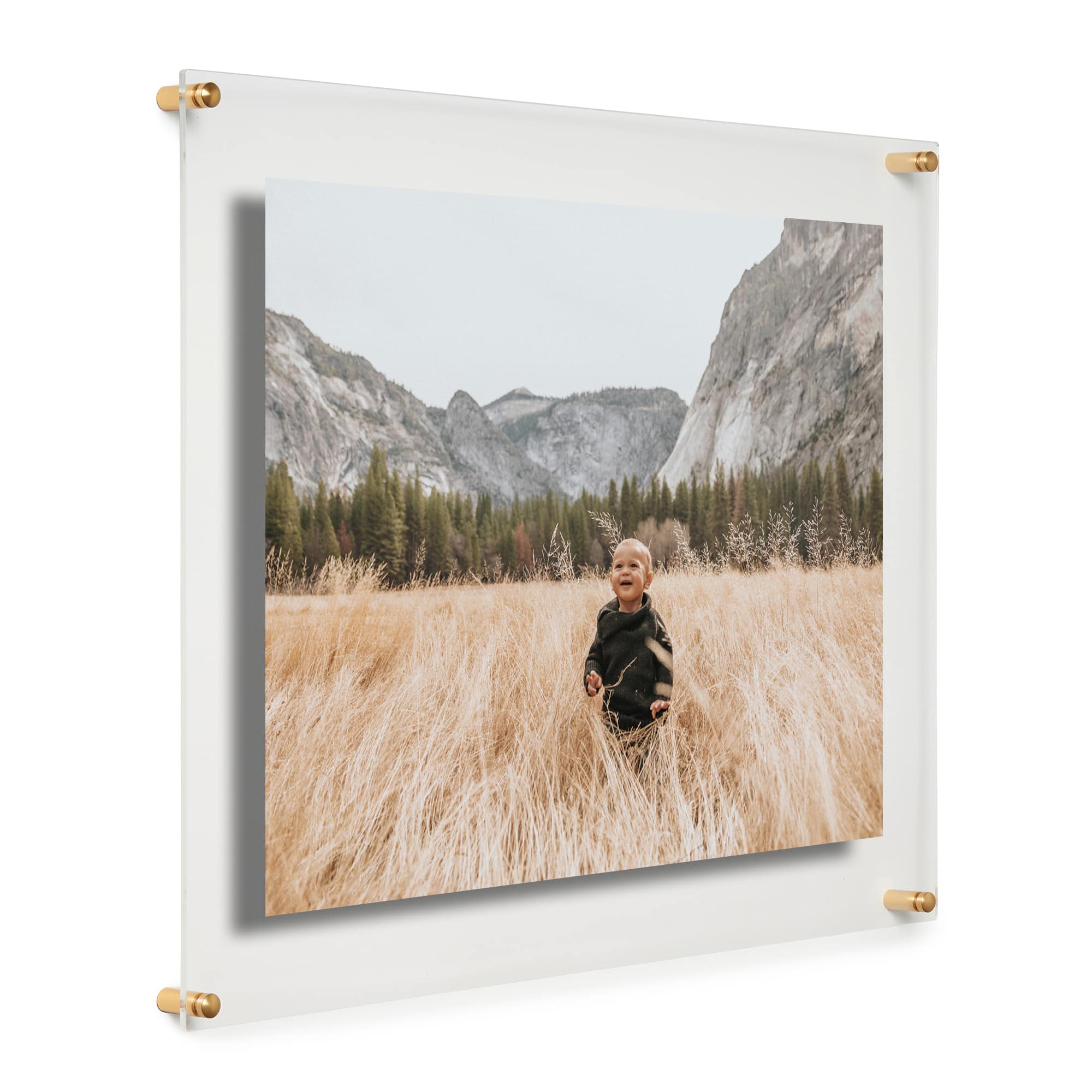 Cool Modern Frames Clear Acrylic Float Frame with Gold Hardware